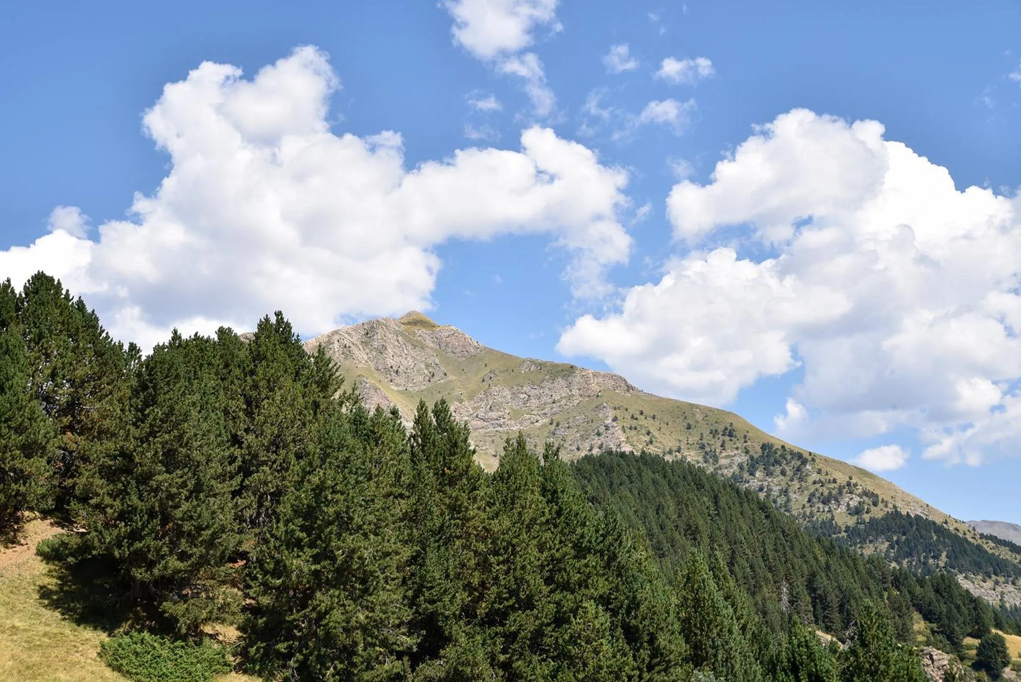 View (from property/room) in NH Collection Andorra Palomé