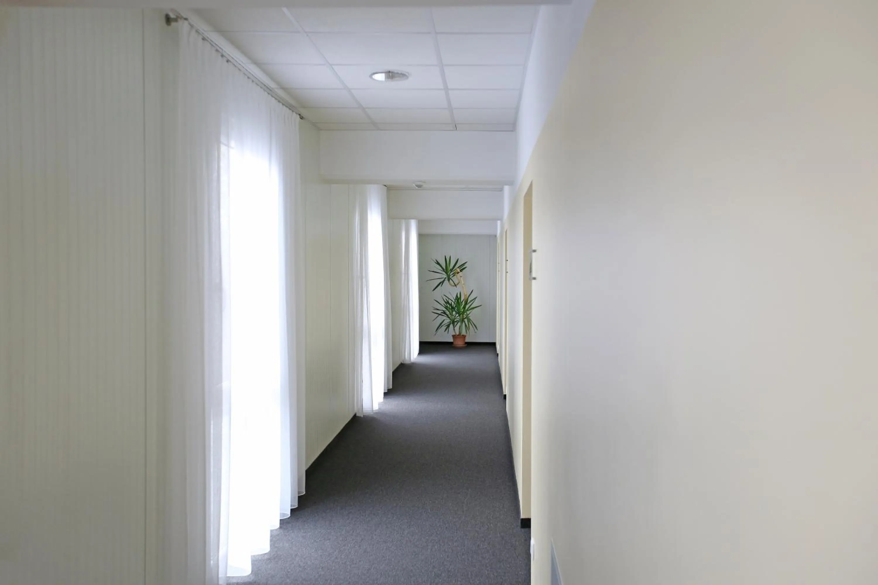 Other in Business & City