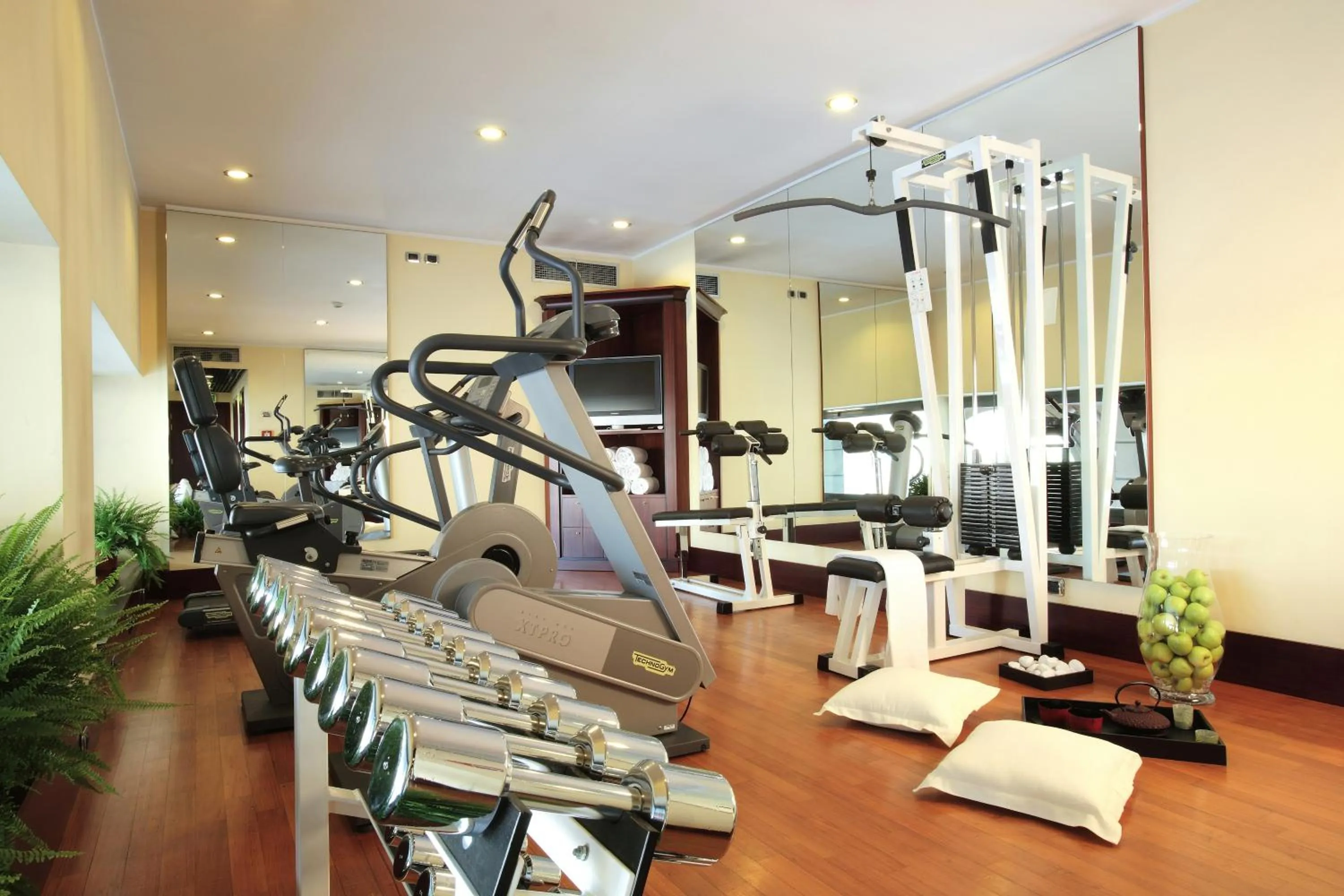 Fitness centre/facilities in Starhotels Excelsior