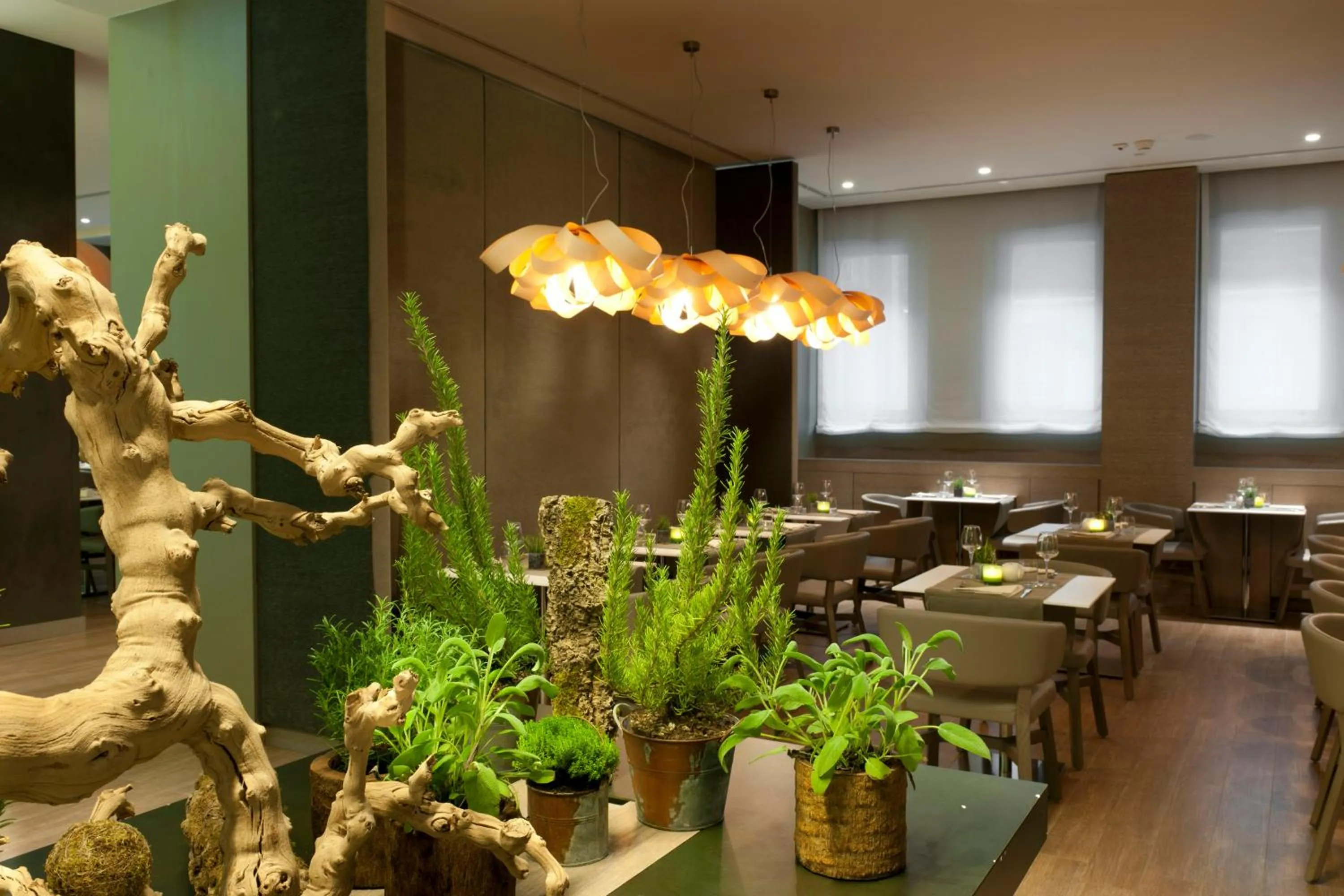 Restaurant/places to eat in Starhotels Echo