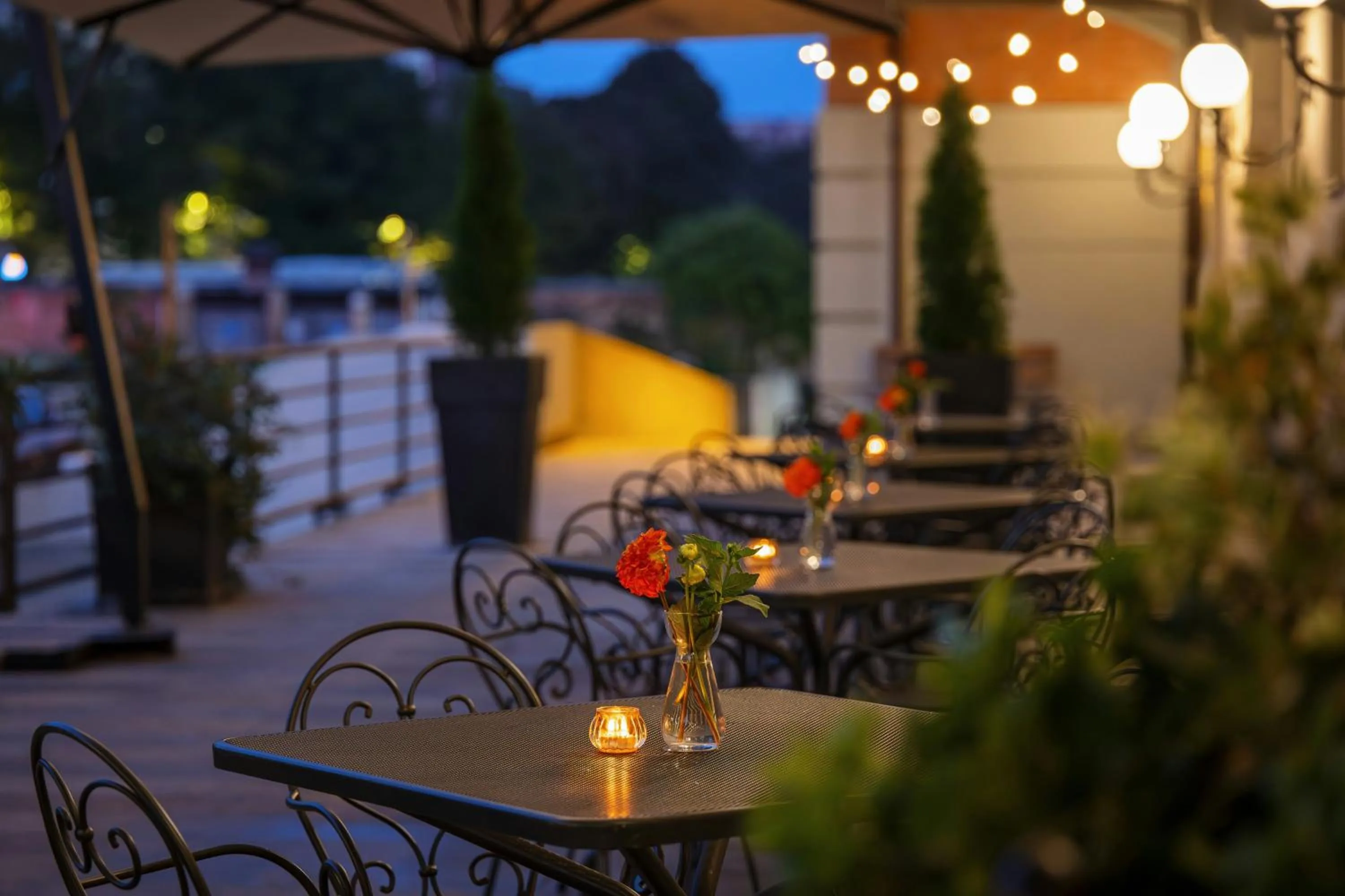 Balcony/Terrace in Starhotels Du Parc