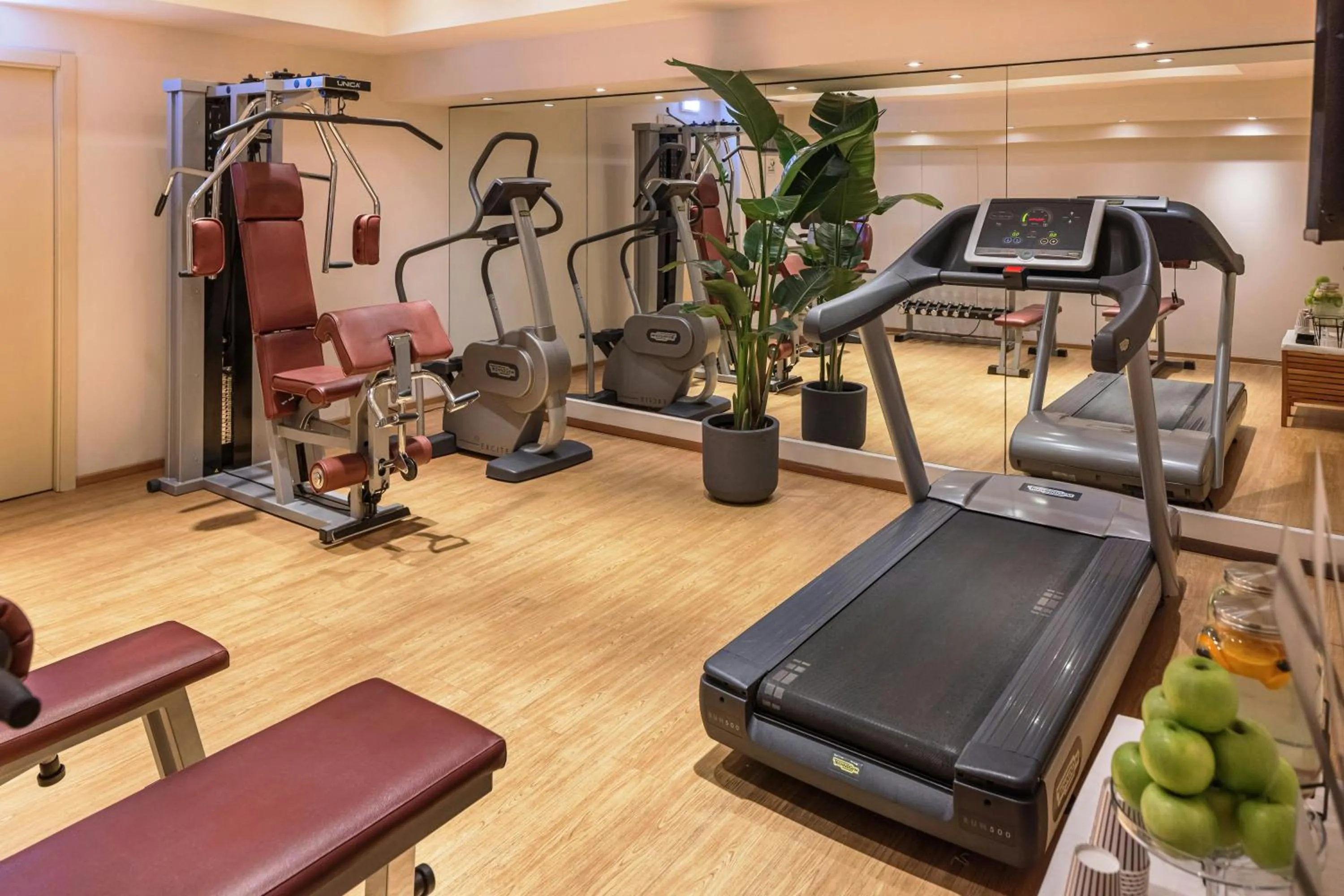 Fitness centre/facilities in Starhotels Metropole