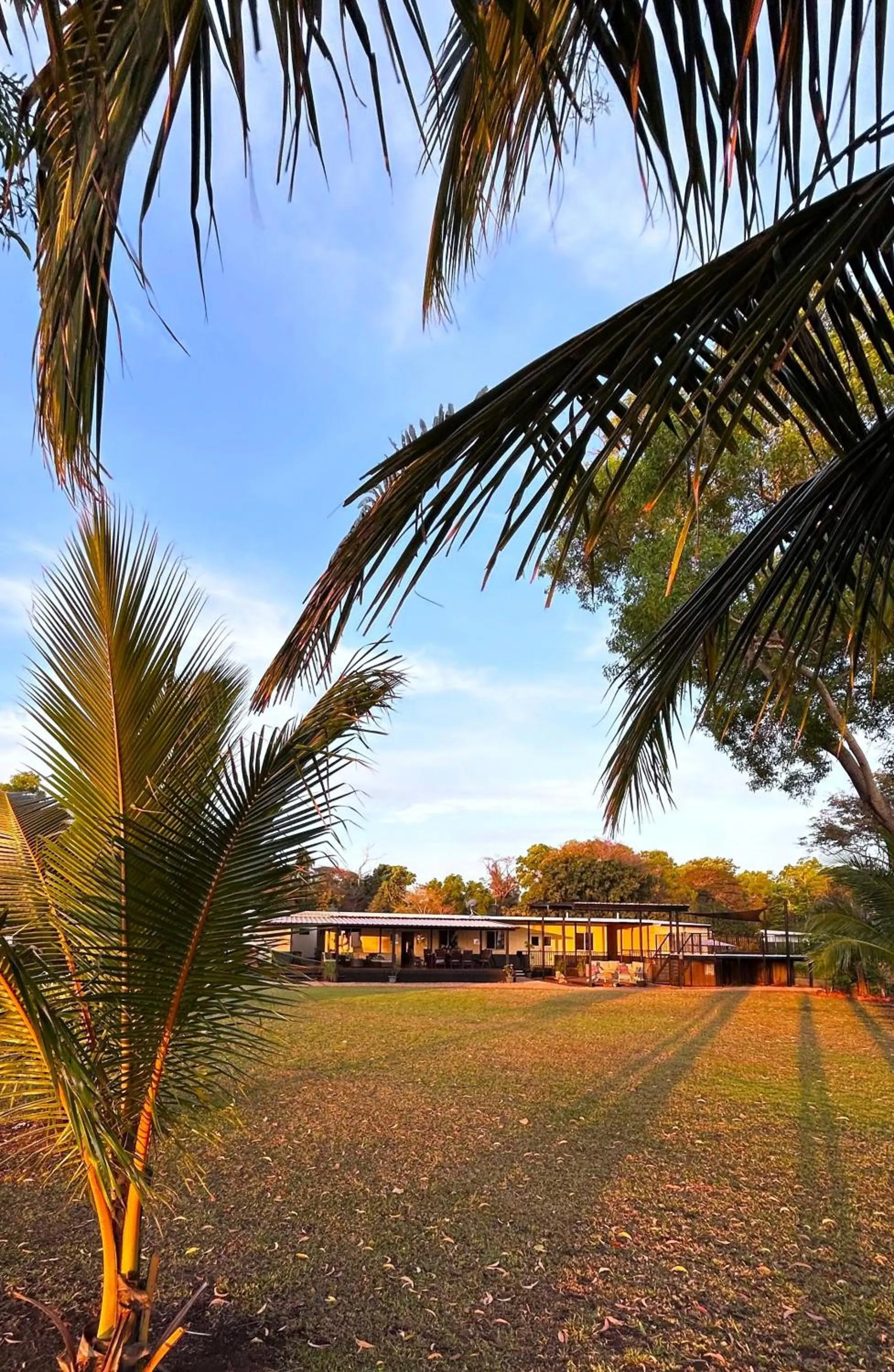 Garden in Skippers at Dundee