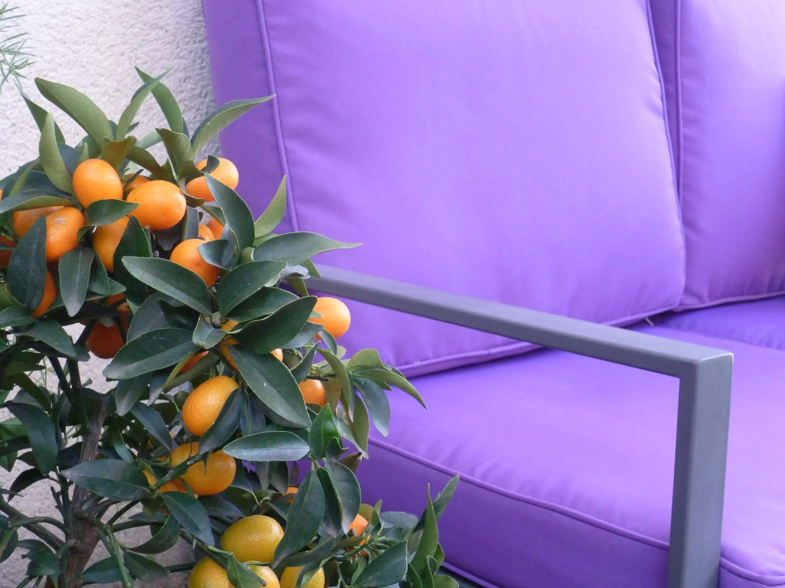 Decorative detail in La Pergola