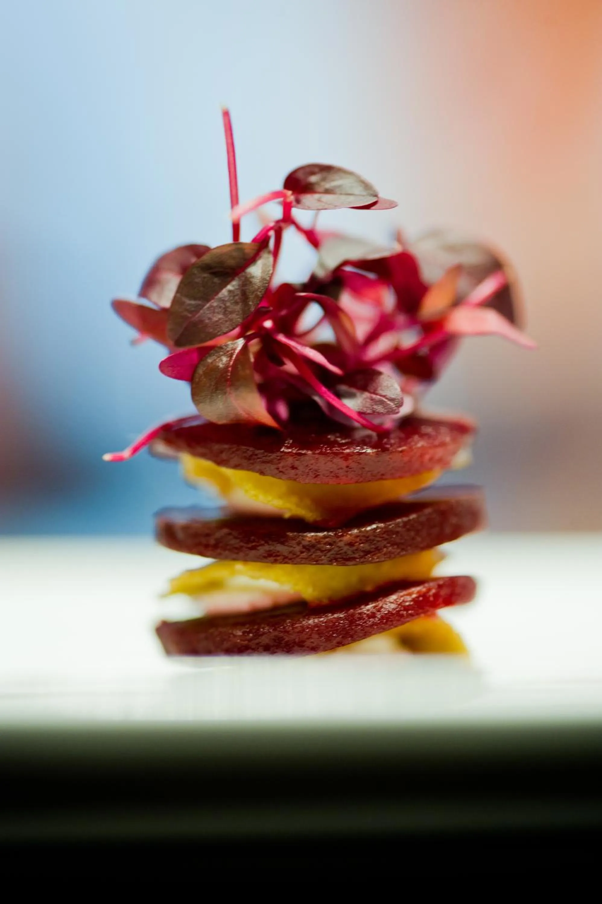 Food and drinks in Park Plaza Leeds