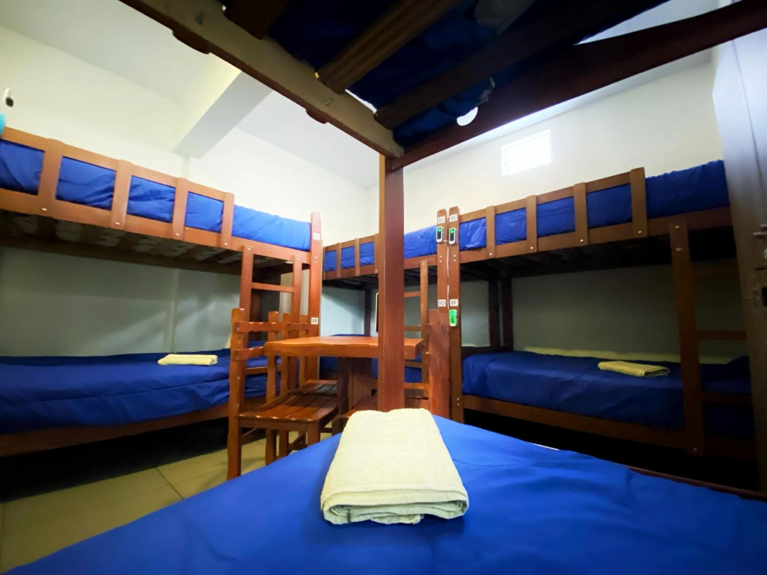 bunk bed, Bed in Lima House Hostel