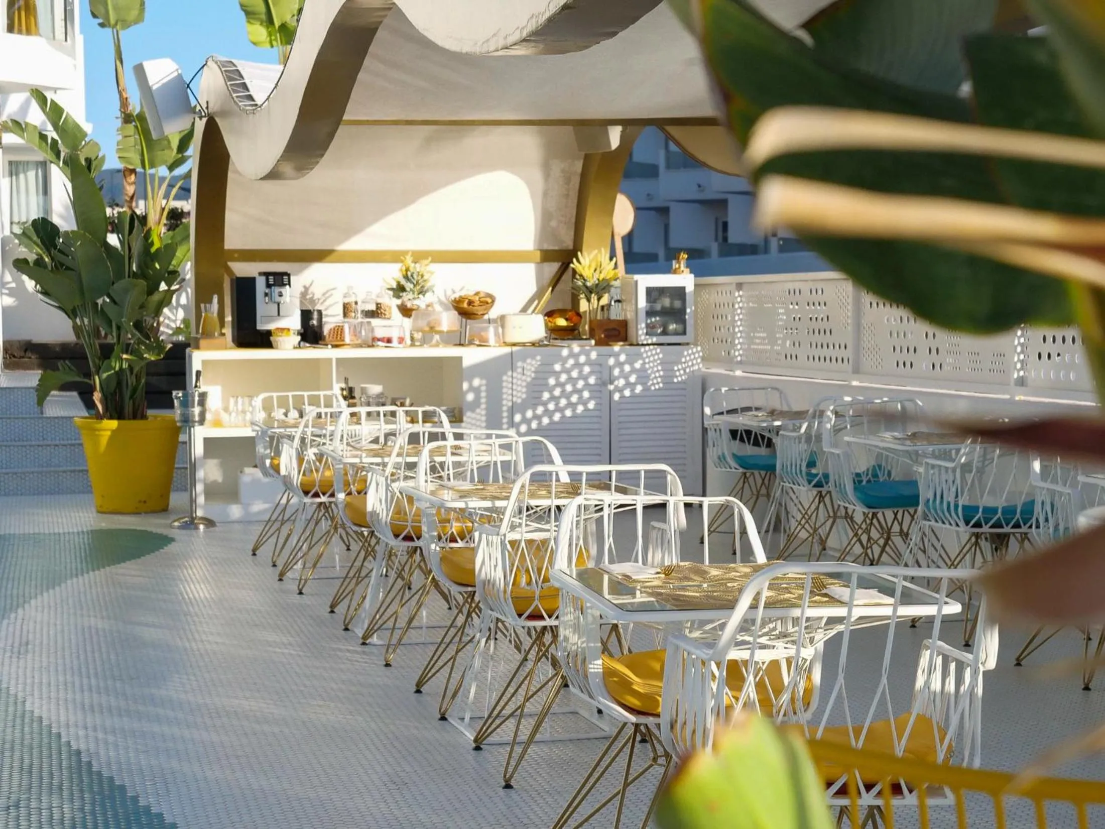 Area and facilities in Dorado Ibiza - Adults Only