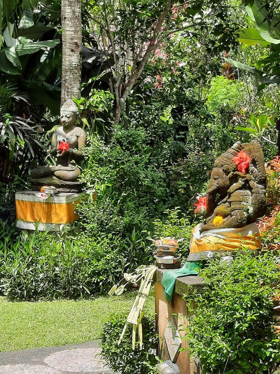 Garden view in Alam Indah Ubud