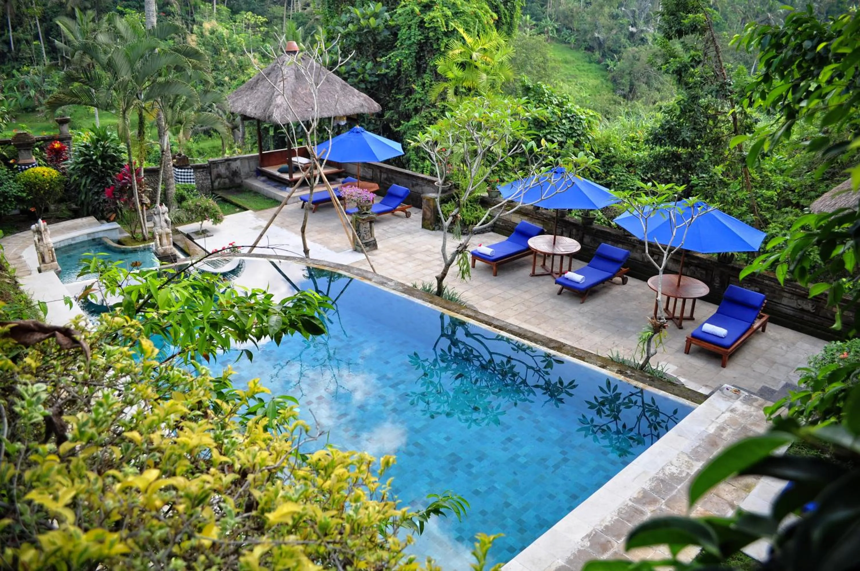 Swimming pool in Alam Indah Ubud