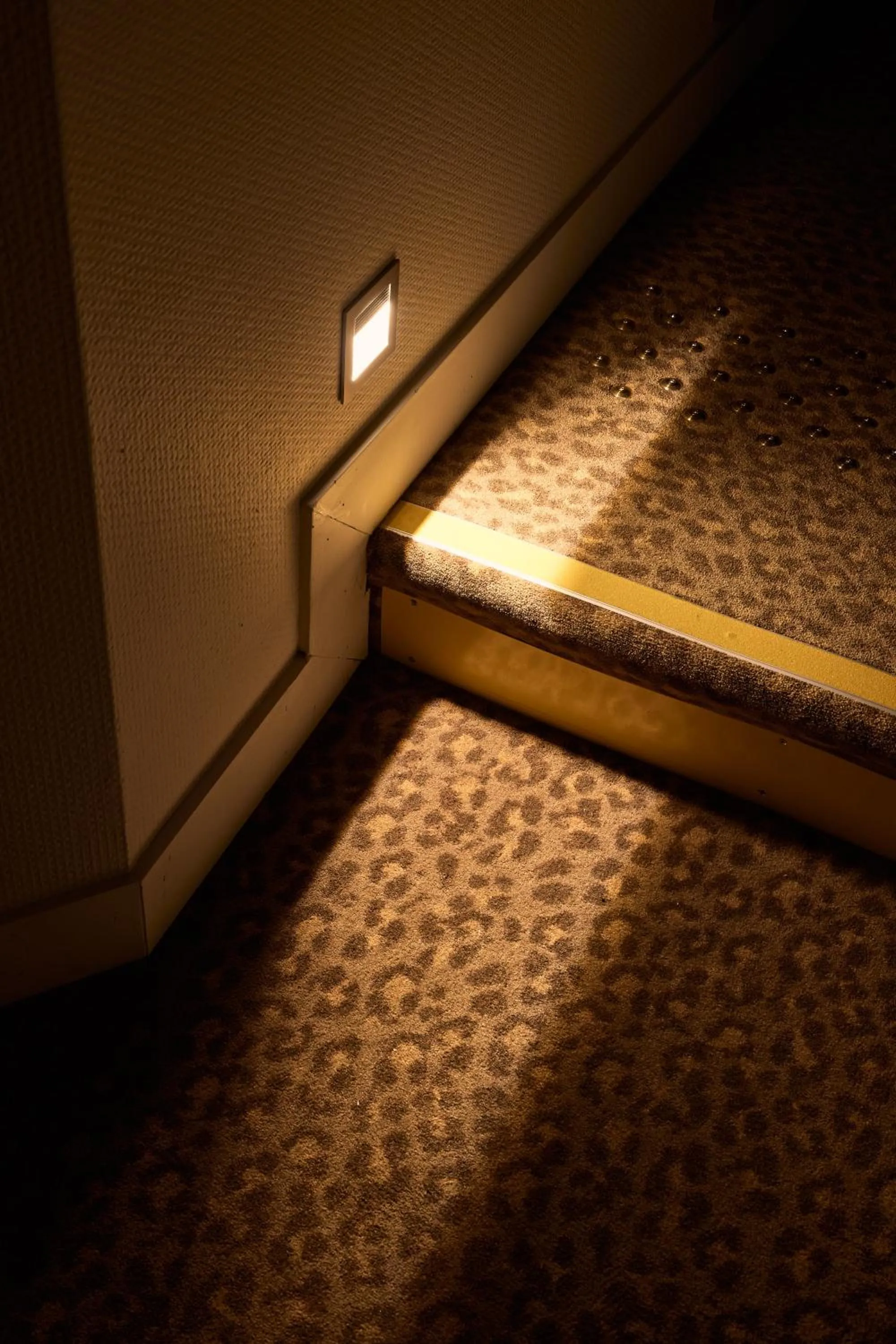 Photo of the whole room in Hôtel Henri IV