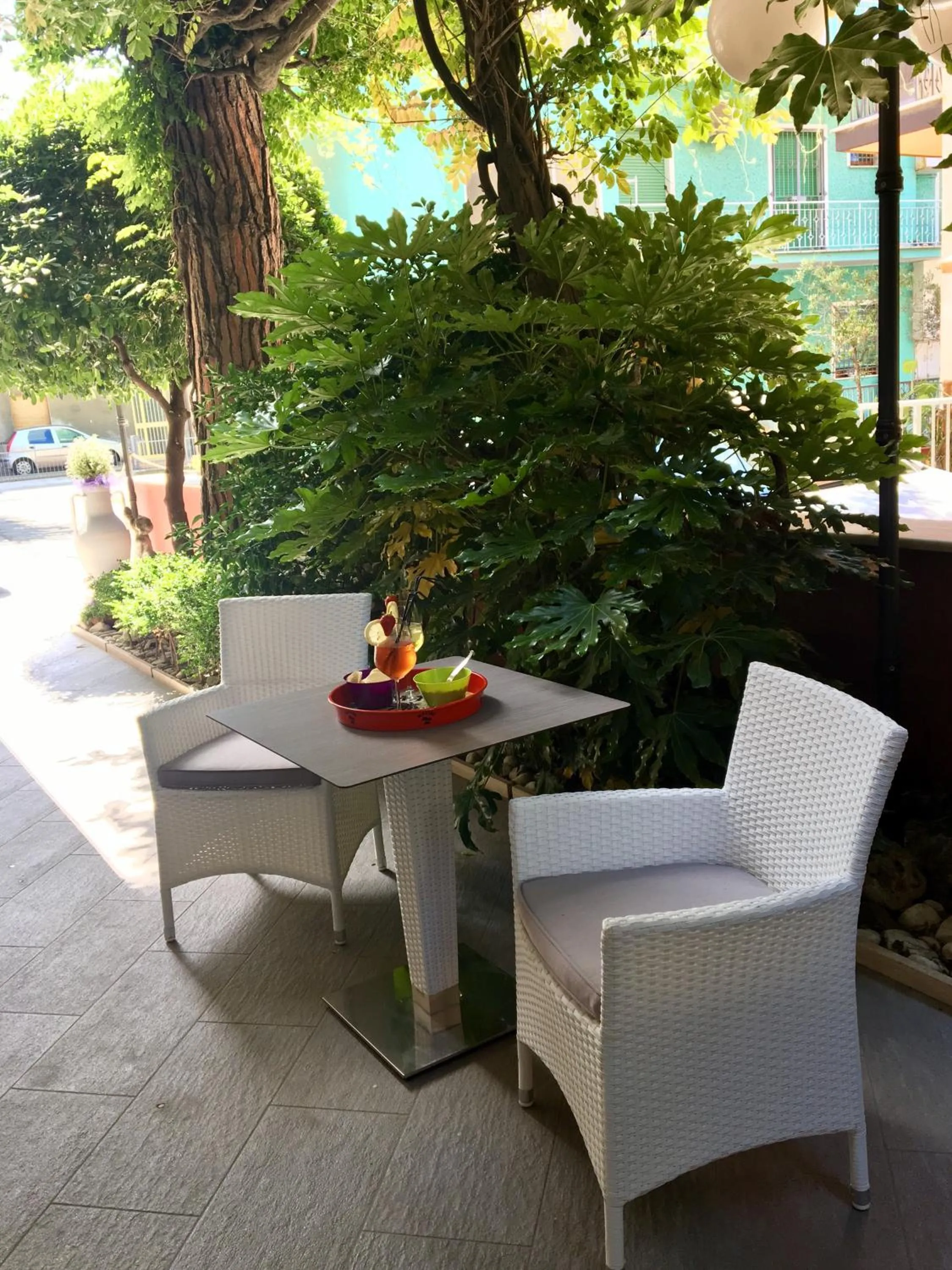 Garden in Hotel Della Motta