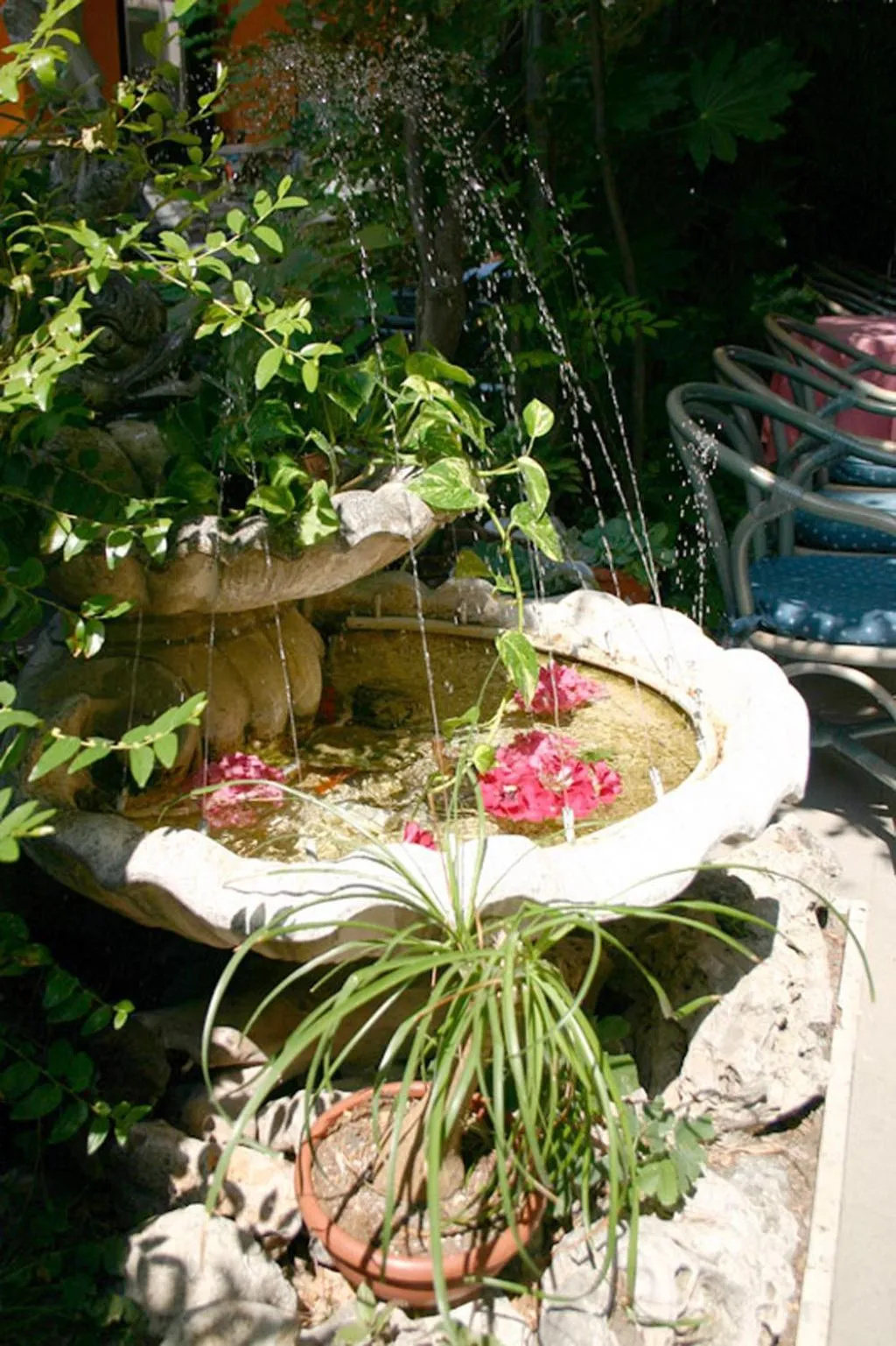 Garden in Hotel Della Motta