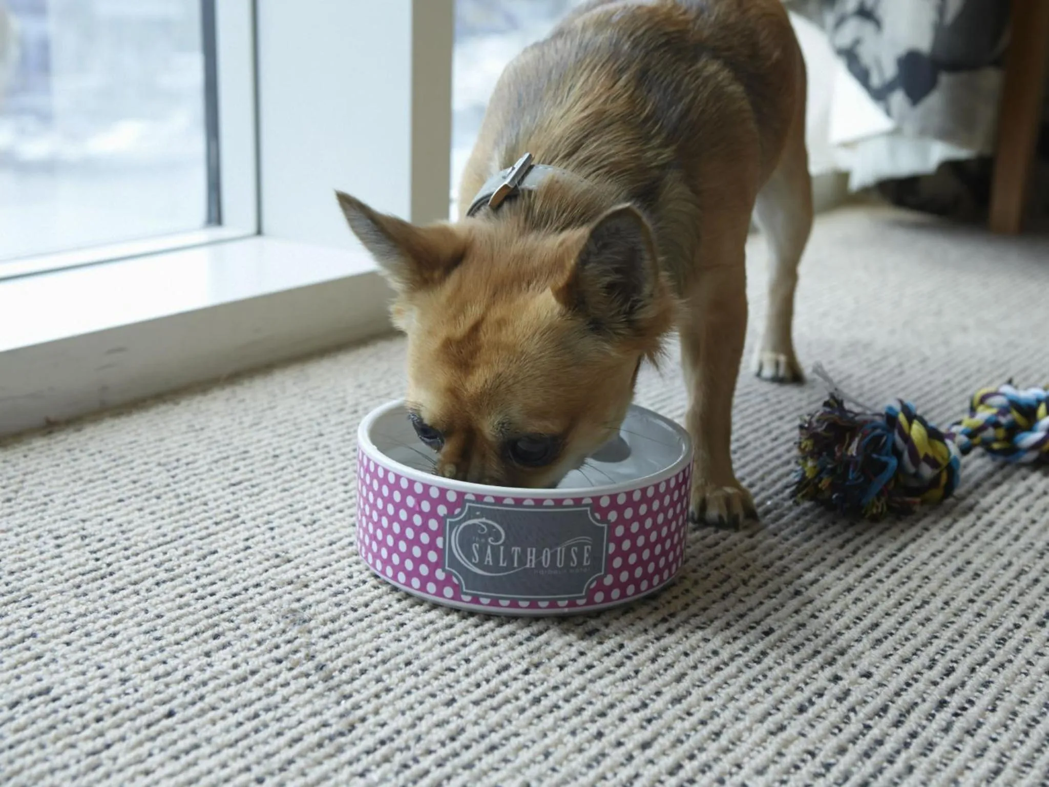 Other in Salthouse Harbour Hotel