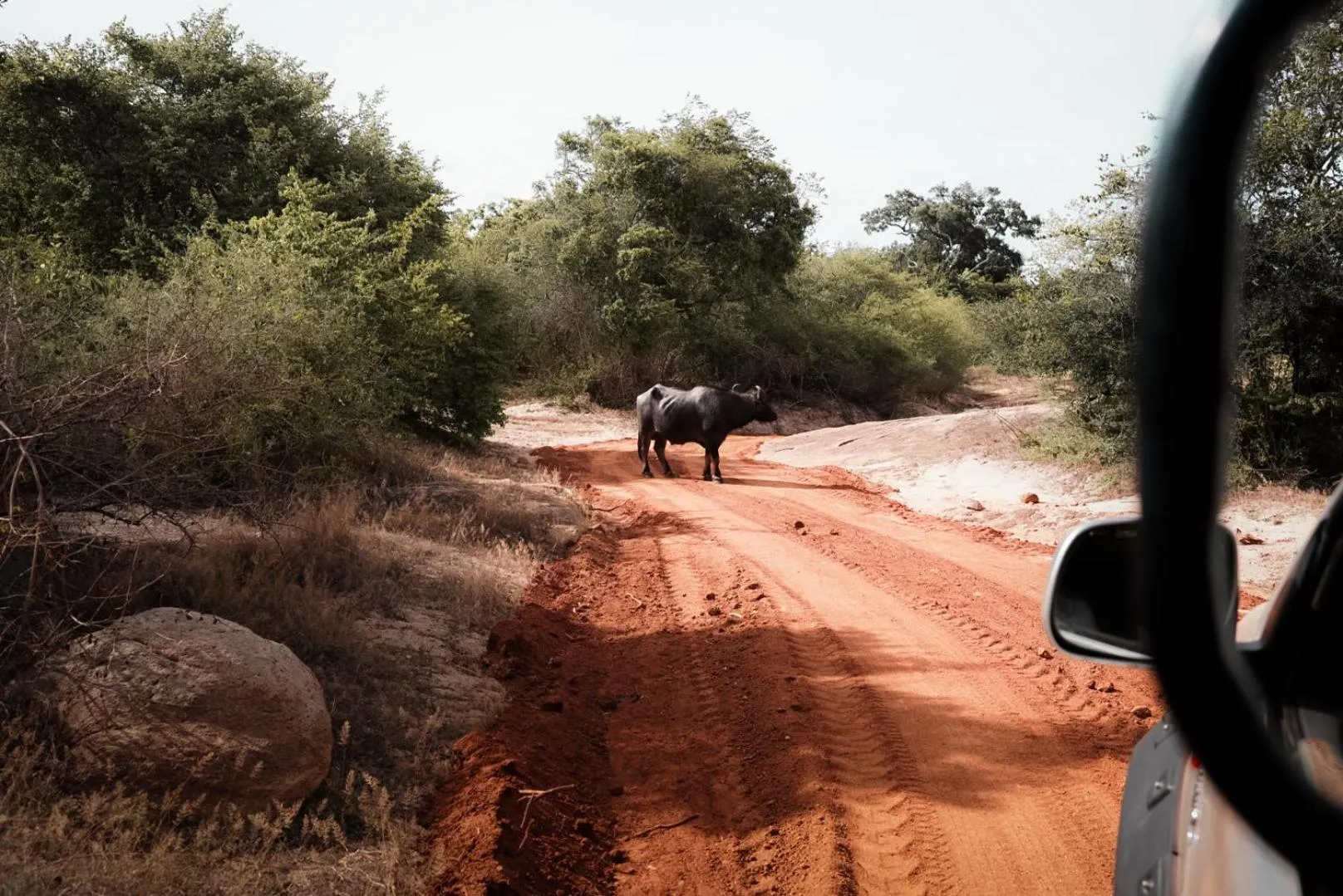 Off site in Yala Hotel Elephant Eye