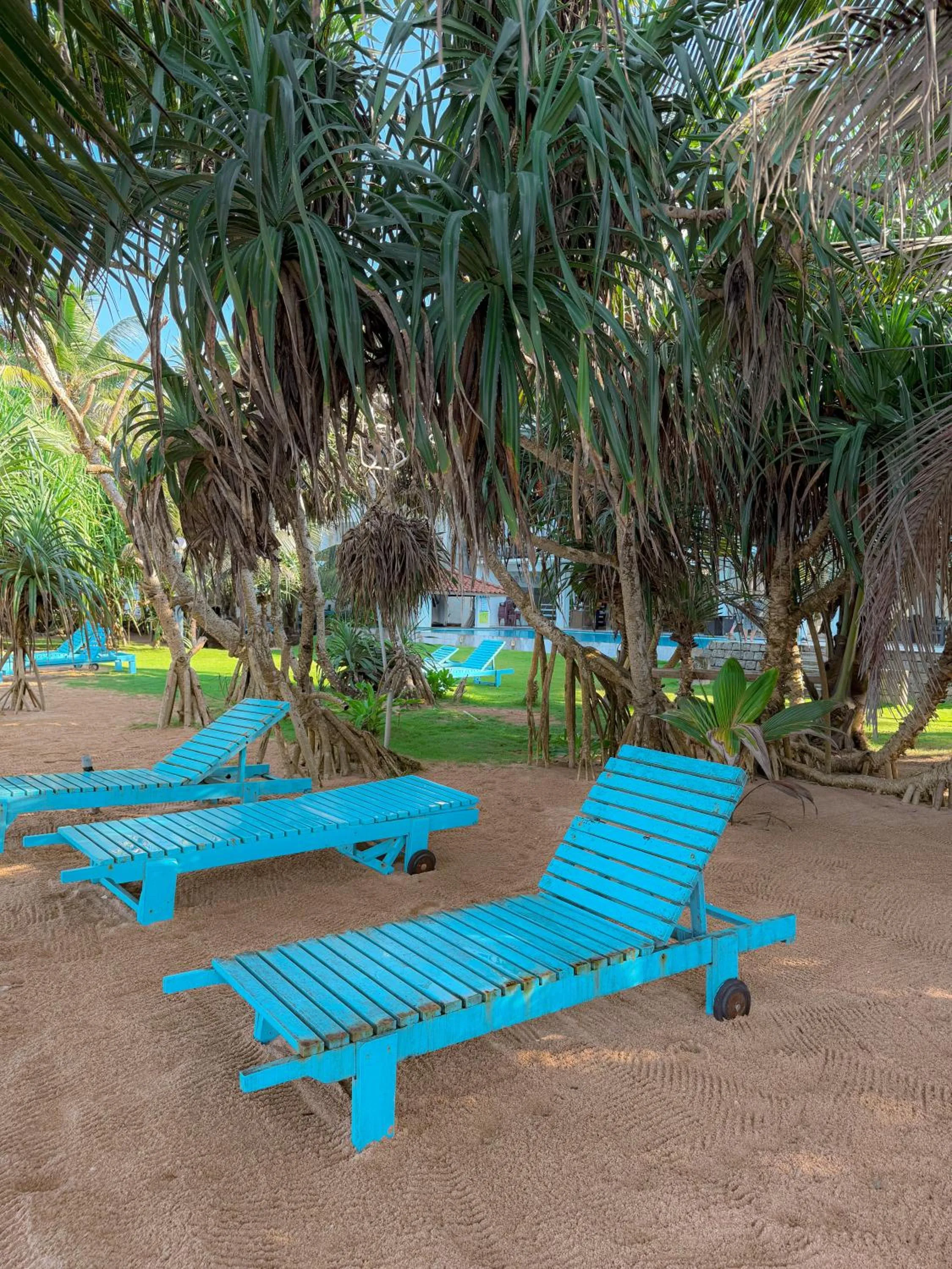 Natural landscape in Serendib Beach Hotel