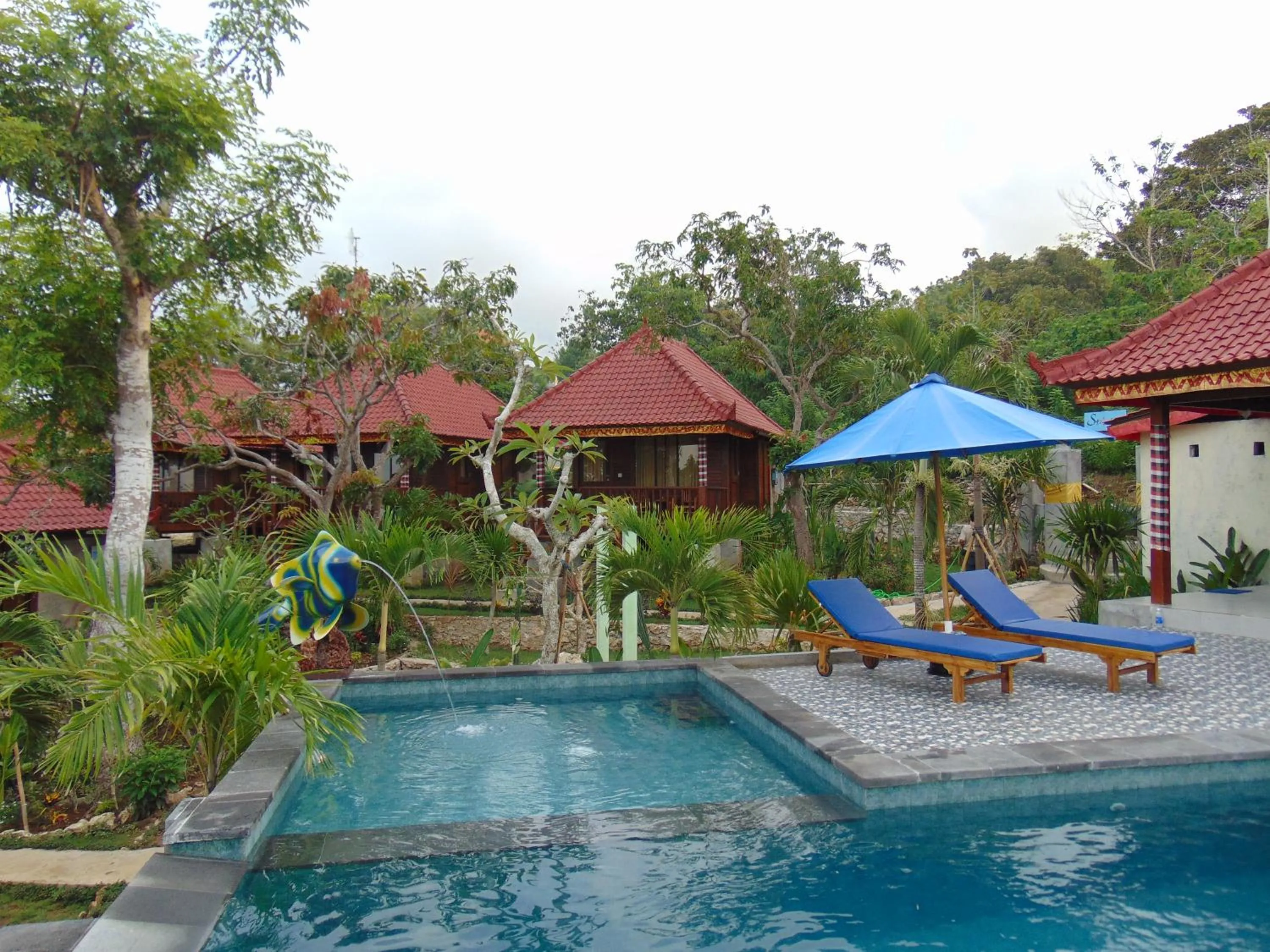 Garden in Starfish Lembongan