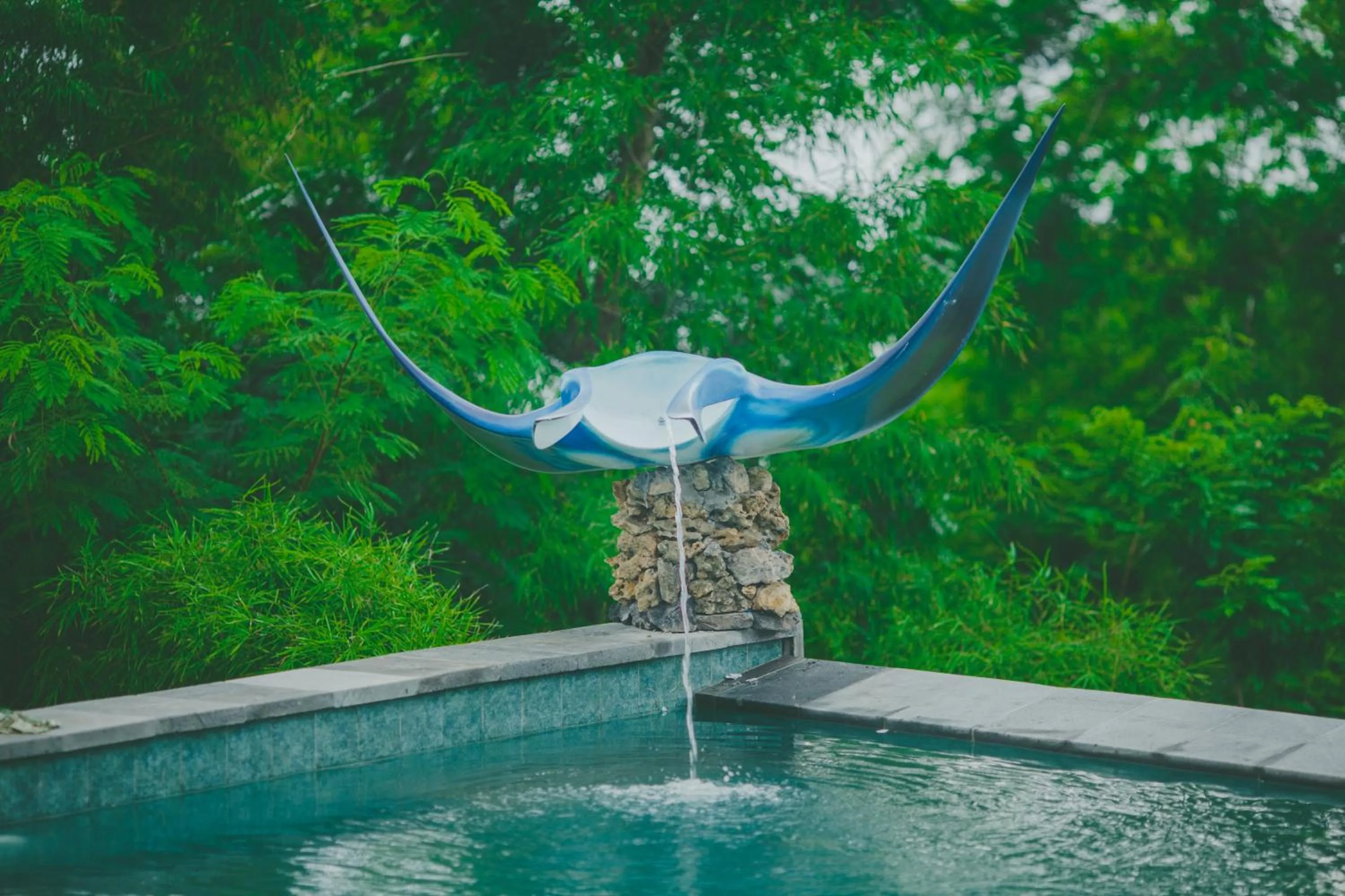 Swimming pool in Starfish Lembongan