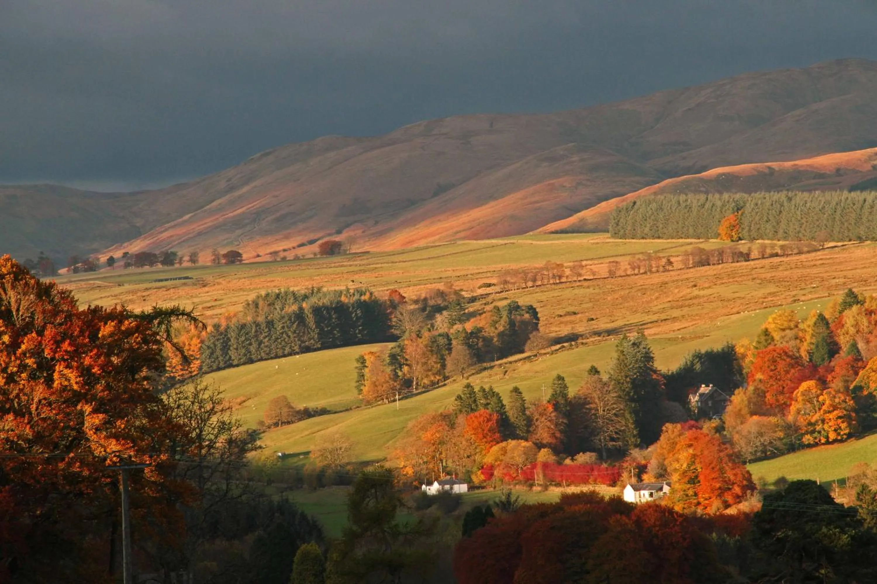 Horse-riding in Annandale Arms Hotel