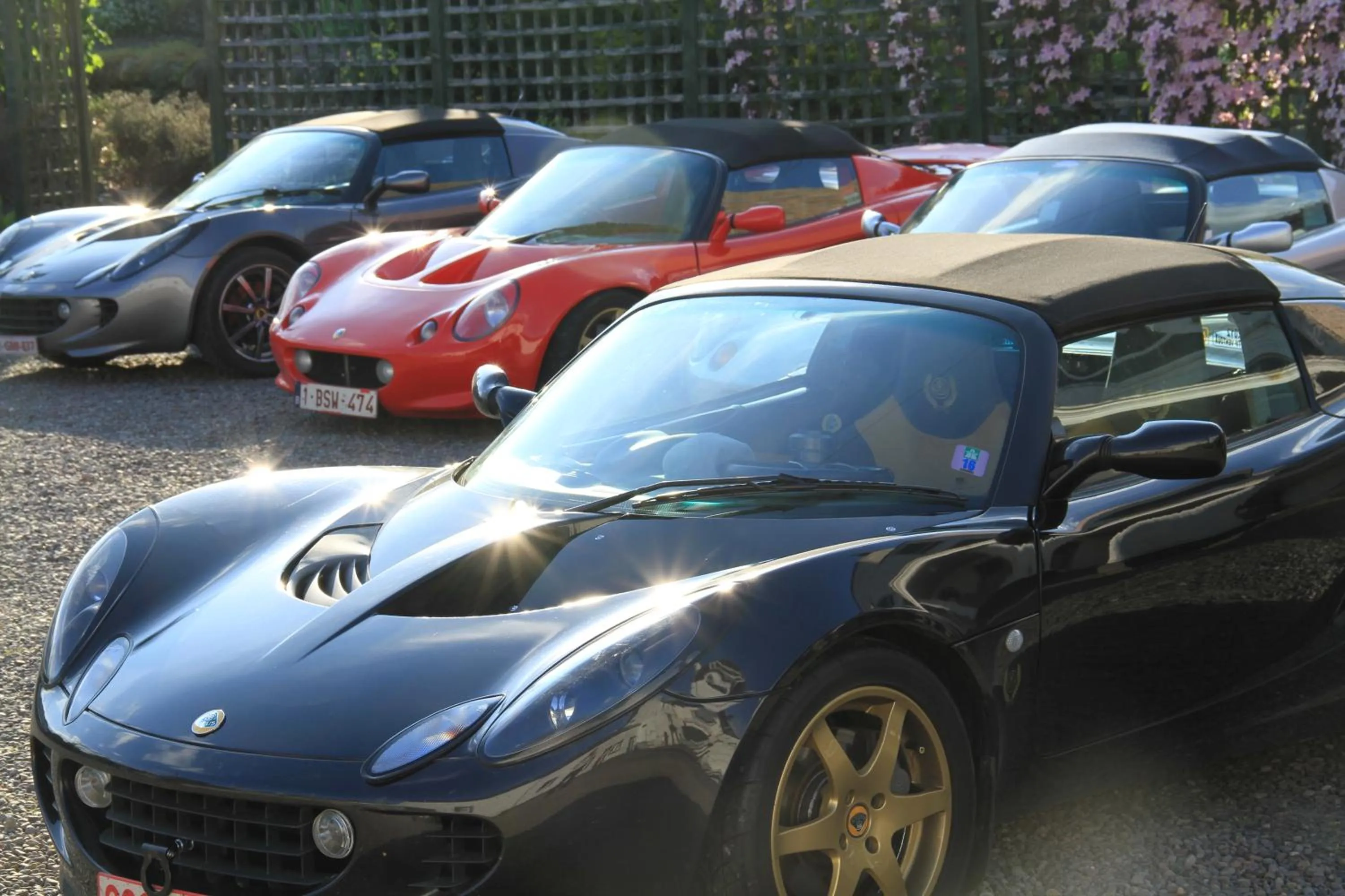 Activities in Annandale Arms Hotel