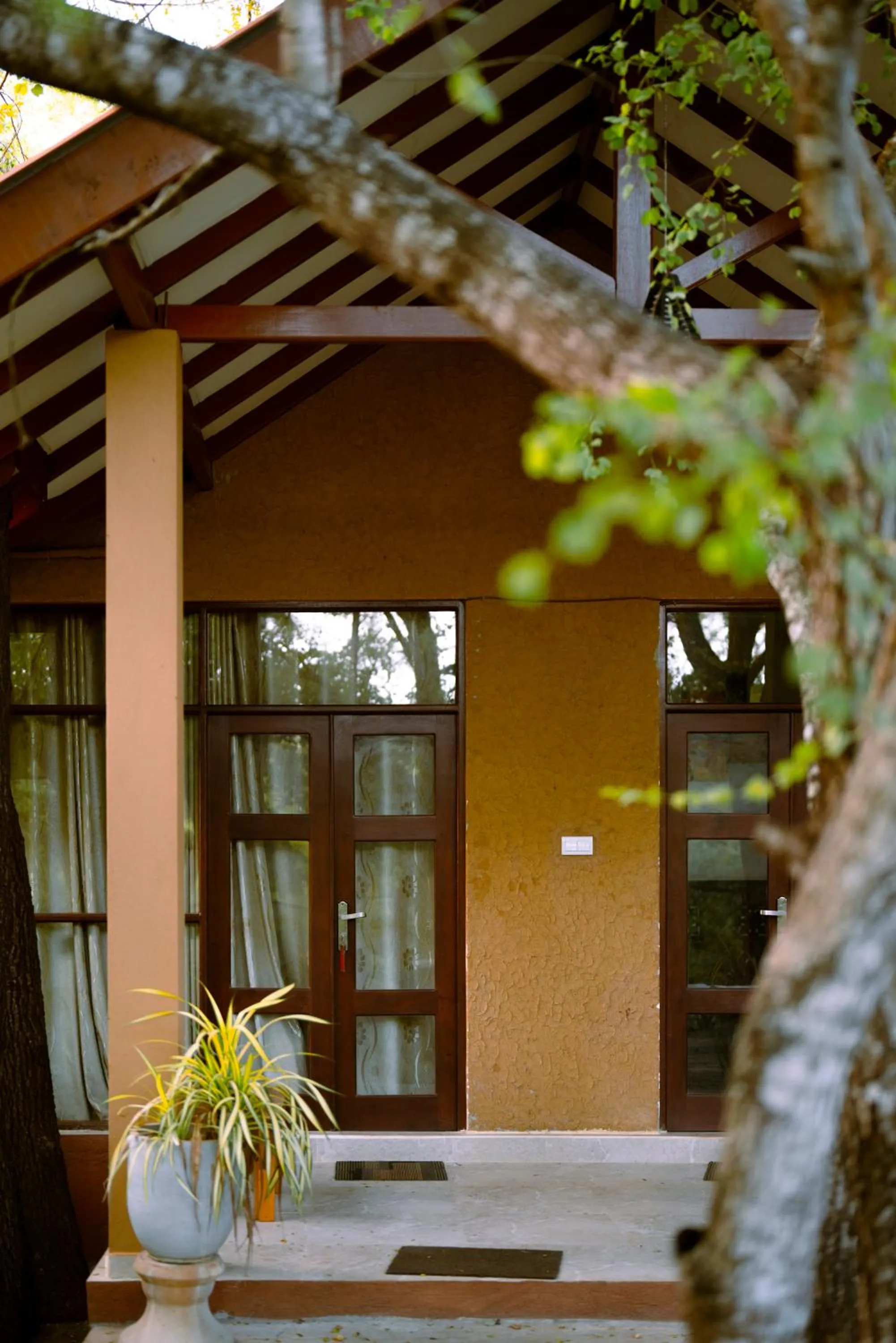 Safari Lodge Yala
