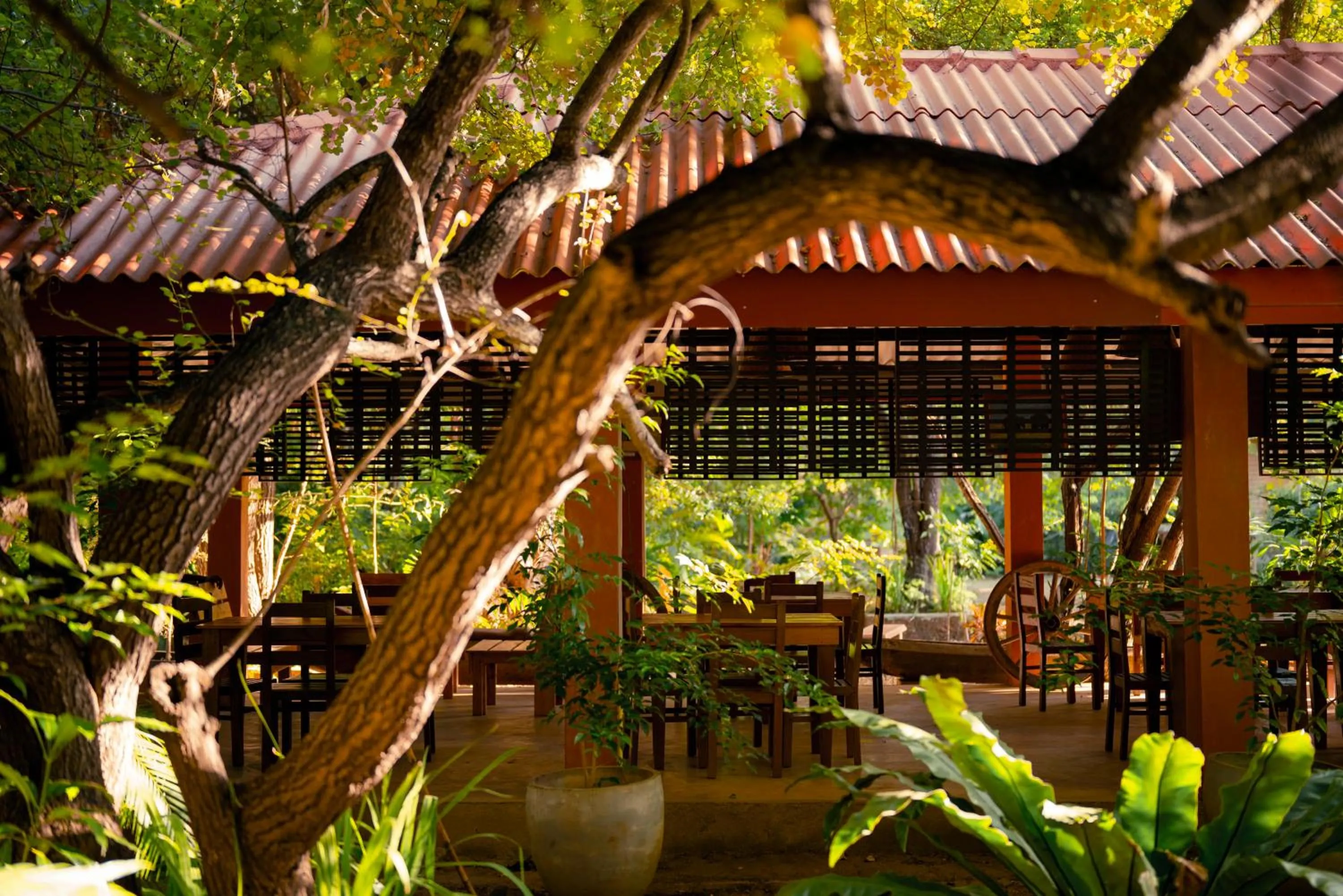 Safari Lodge Yala