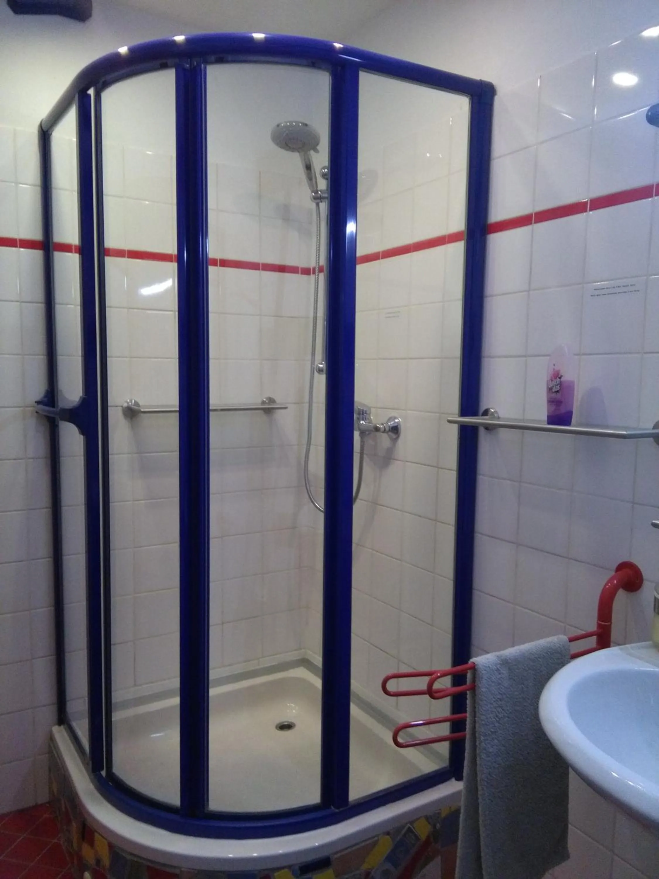 Shower in Alte Poststation Goldener Hirsch