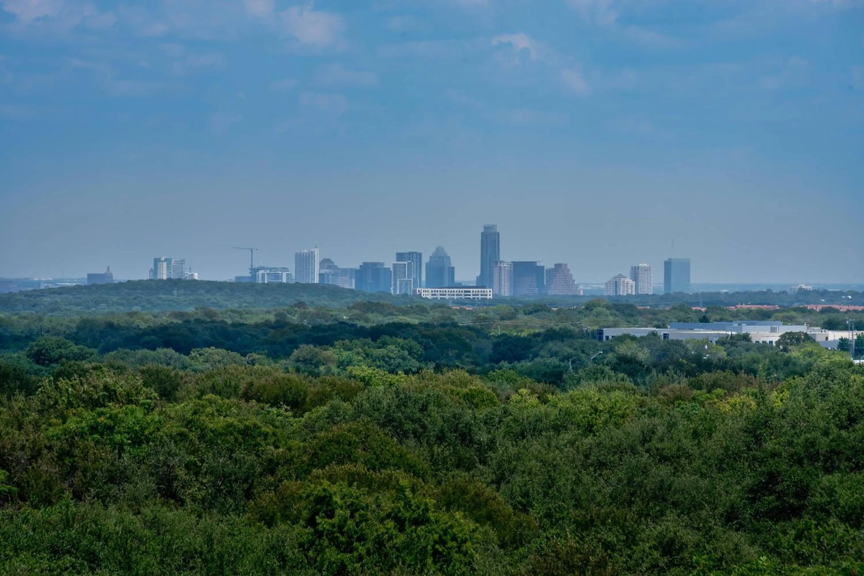 View (from property/room) in Residence Inn by Marriott Austin Southwest