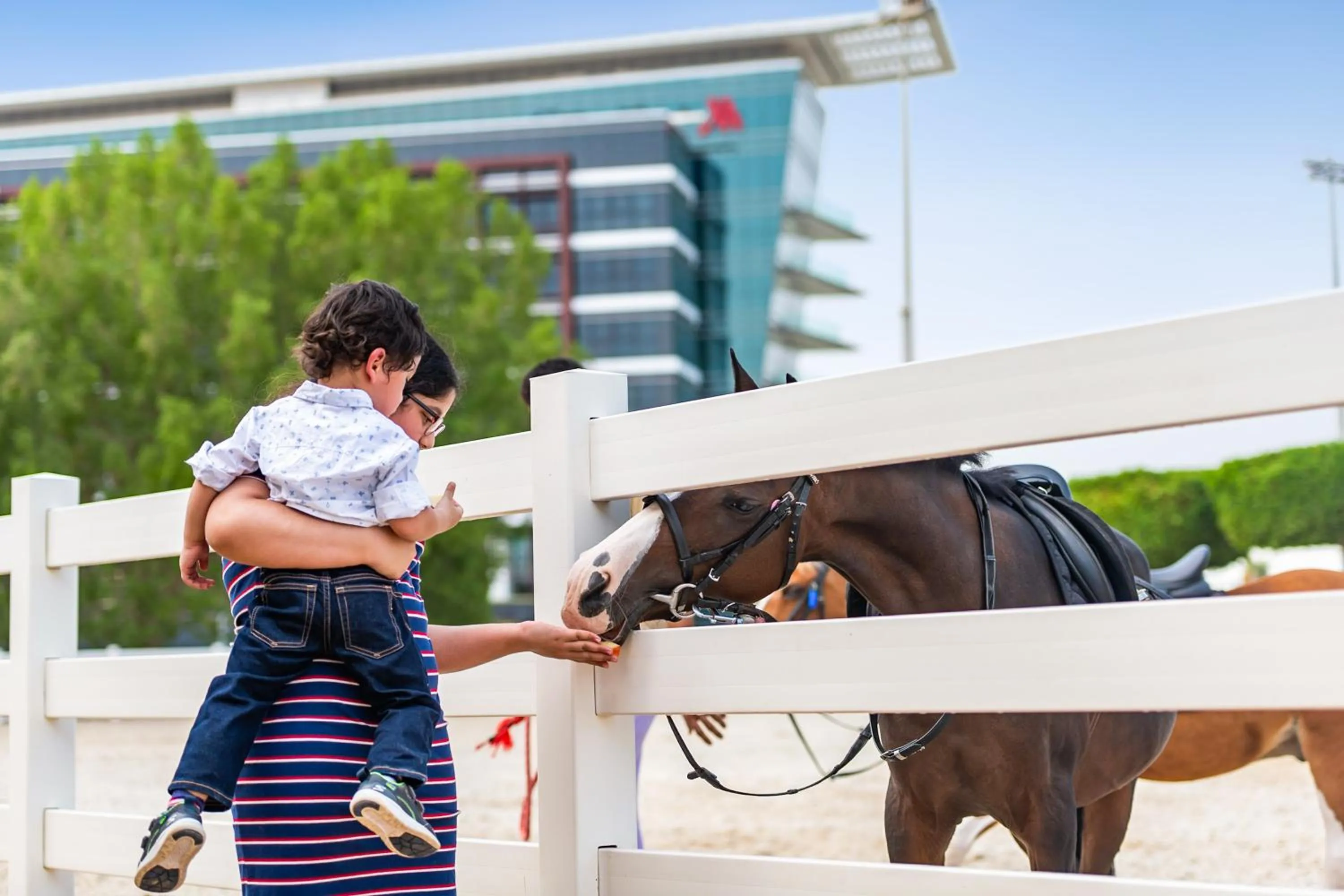 Horse-riding in Marriott Hotel Al Forsan, Abu Dhabi