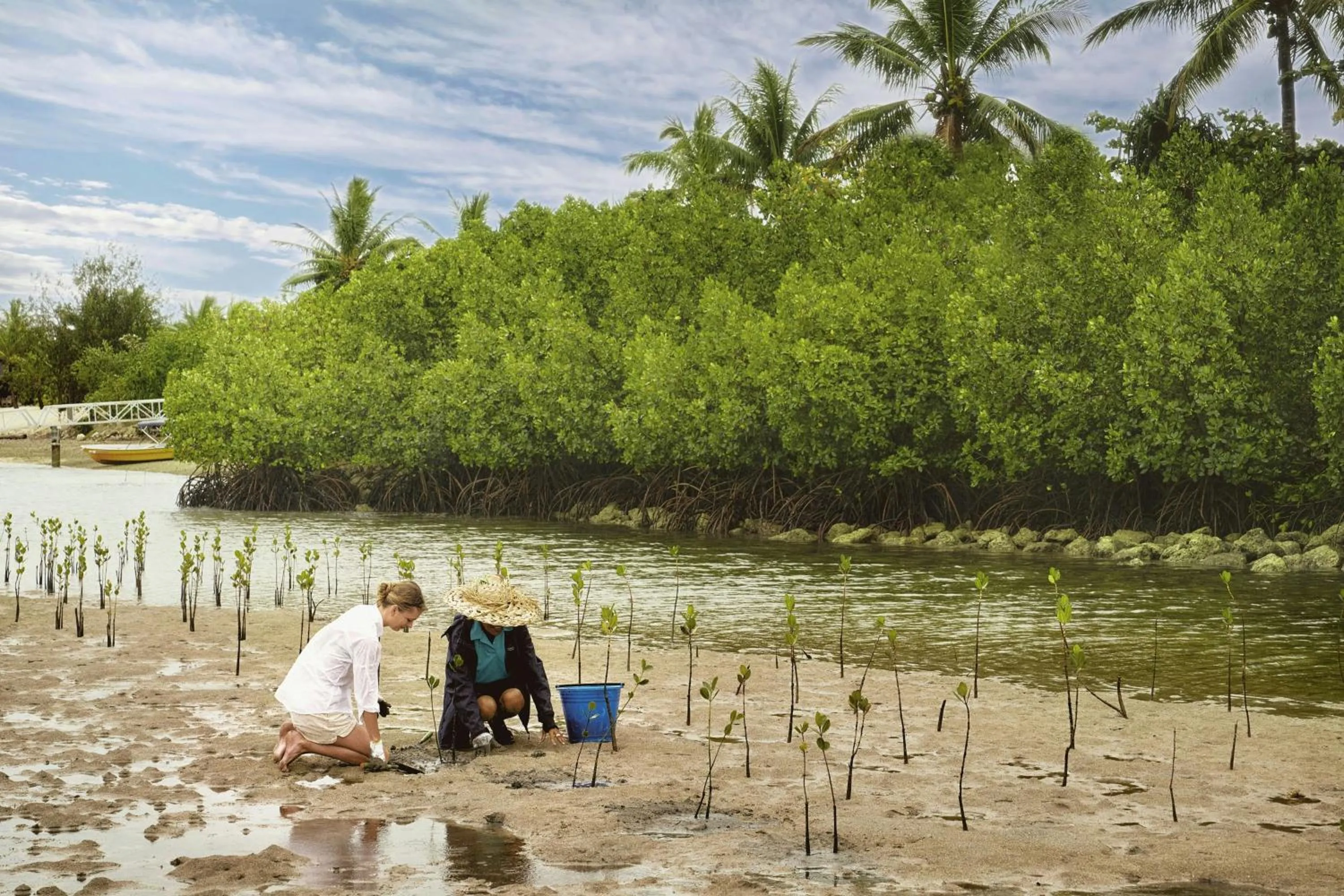 Other in Fiji Marriott Resort Momi Bay