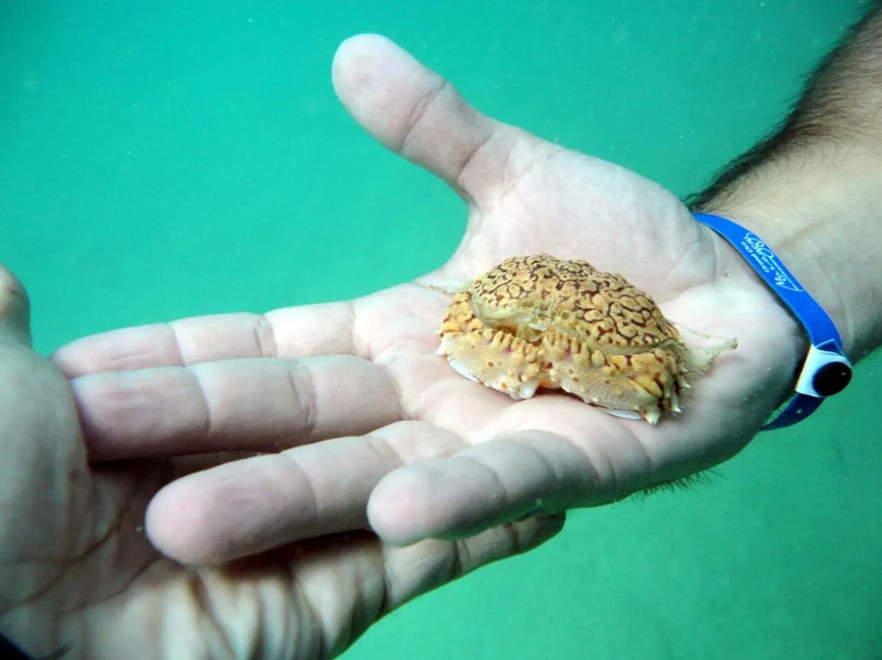 Off site in Pousada Sabrinna