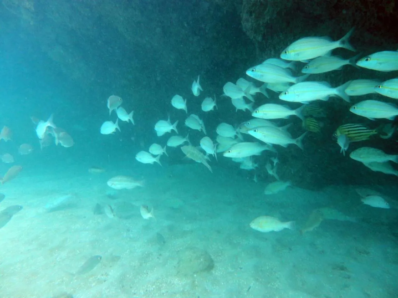 Off site in Pousada Sabrinna