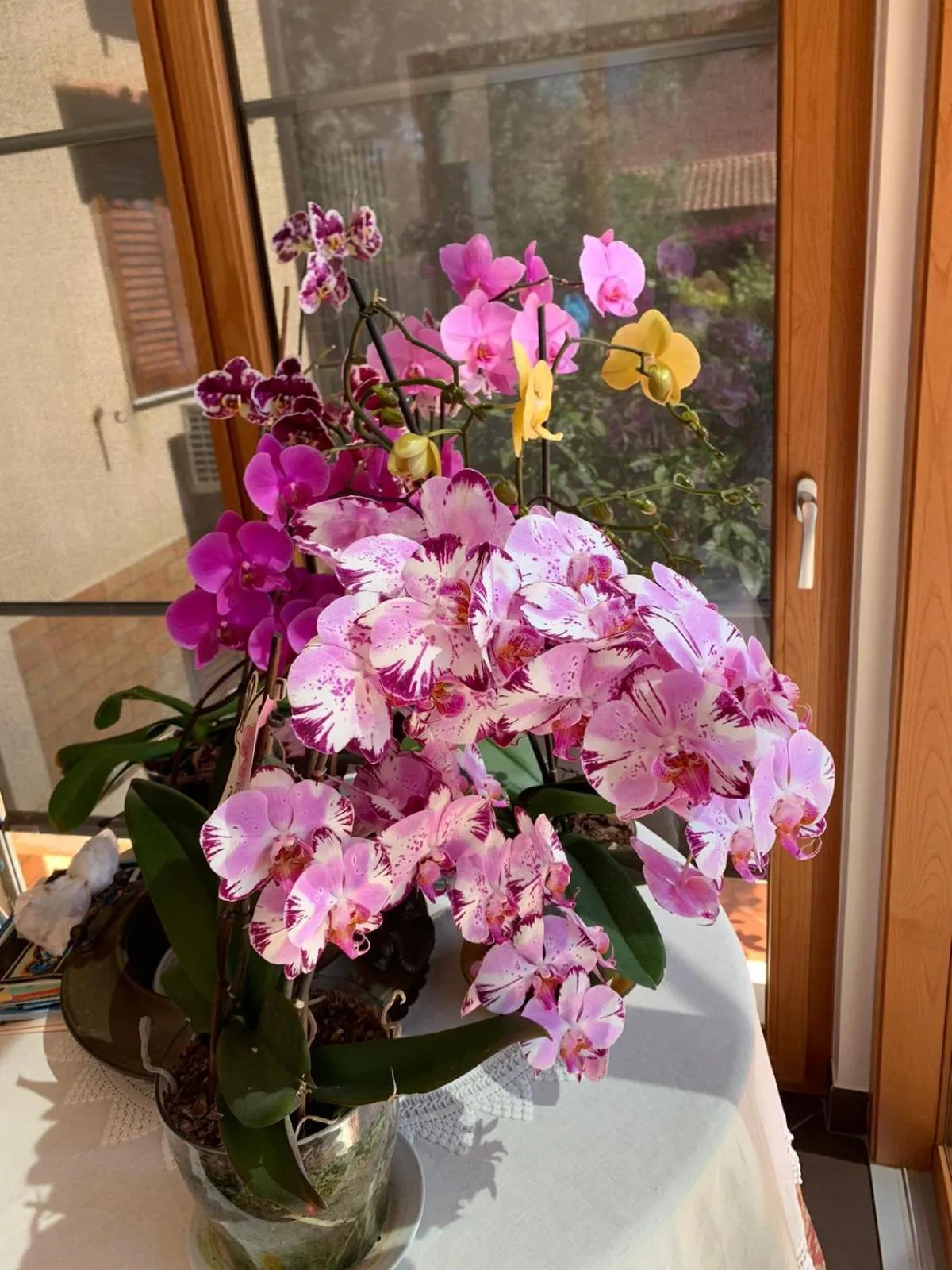 Decorative detail in Green Garden 2017