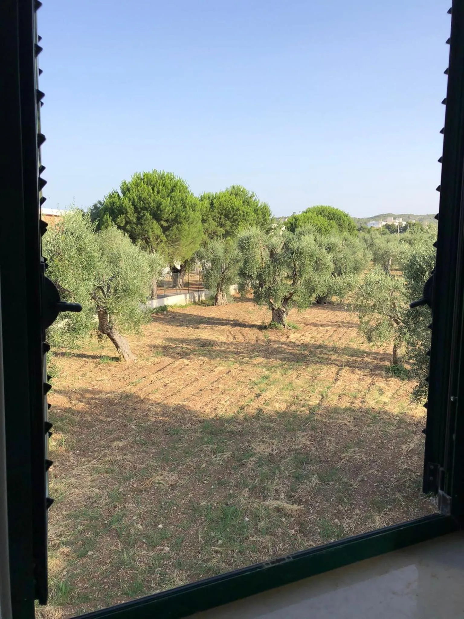 Natural landscape in Tiglio Vieste