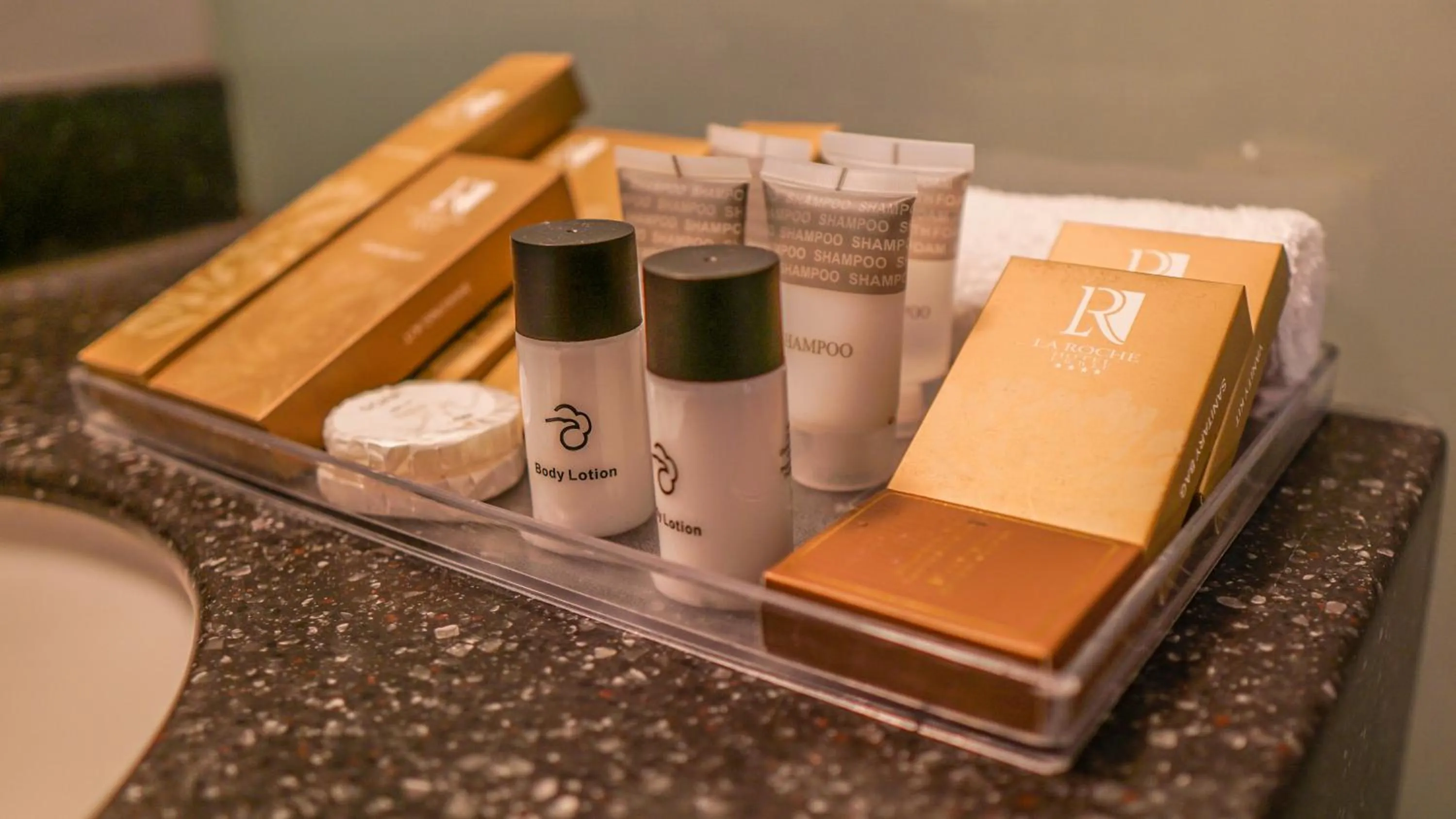 Shower in La Roche Hotel