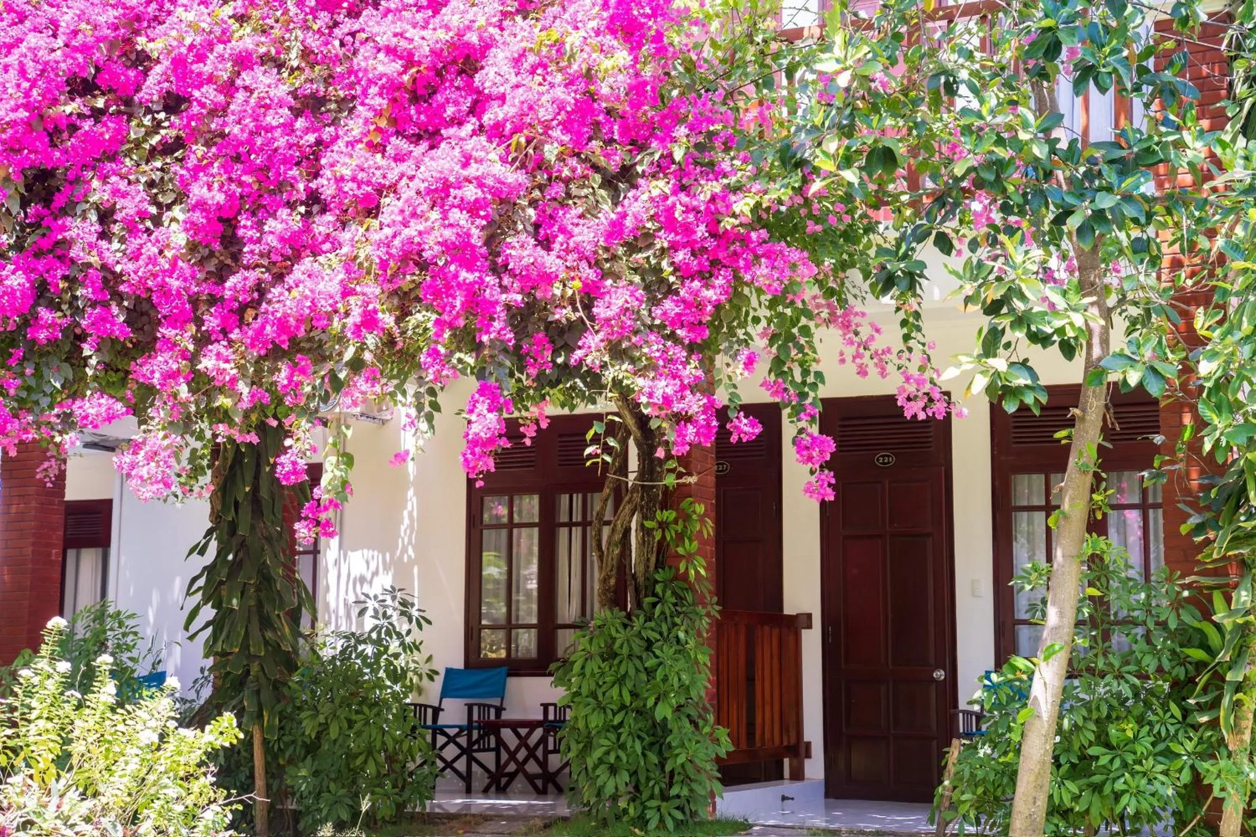 Garden in Four Oceans Beach Resort - Bon Bien Mui Ne