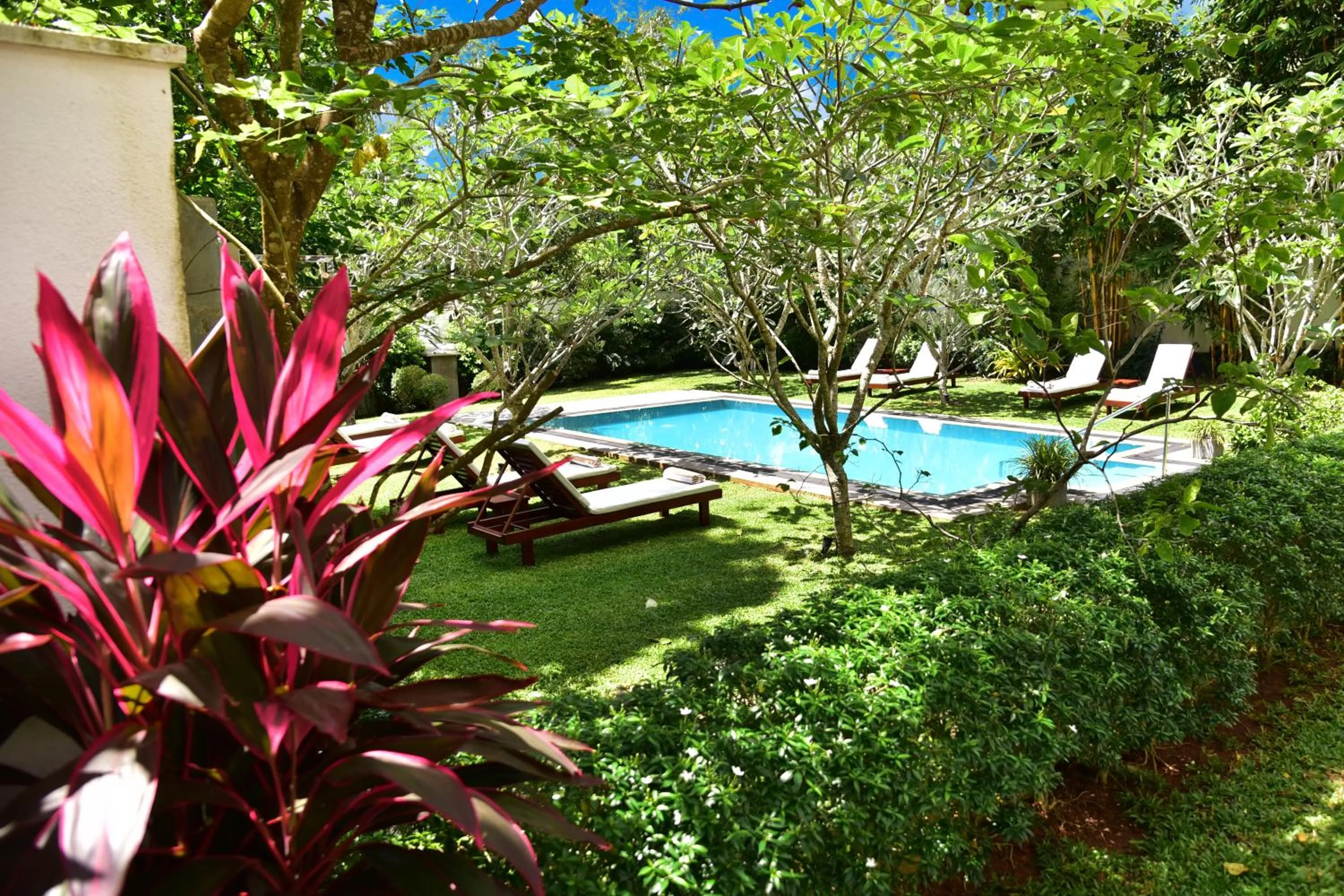 Garden in Boutique Villa Shanthi