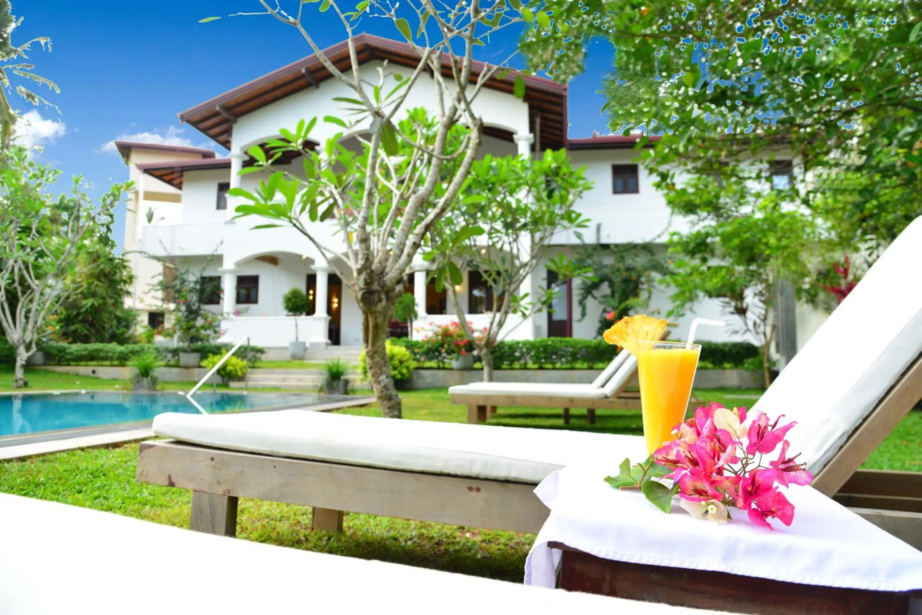 Garden in Boutique Villa Shanthi
