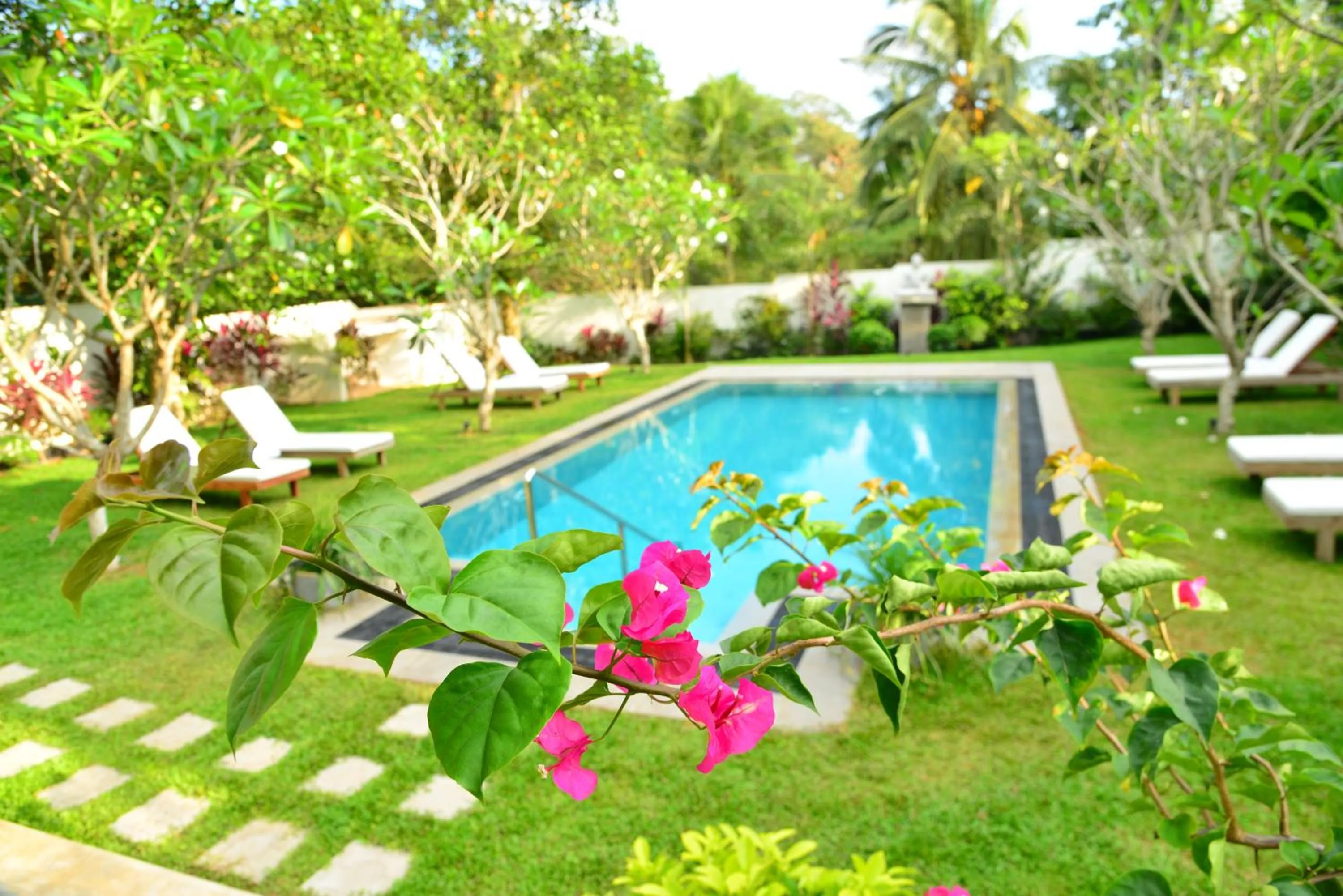 Garden in Boutique Villa Shanthi