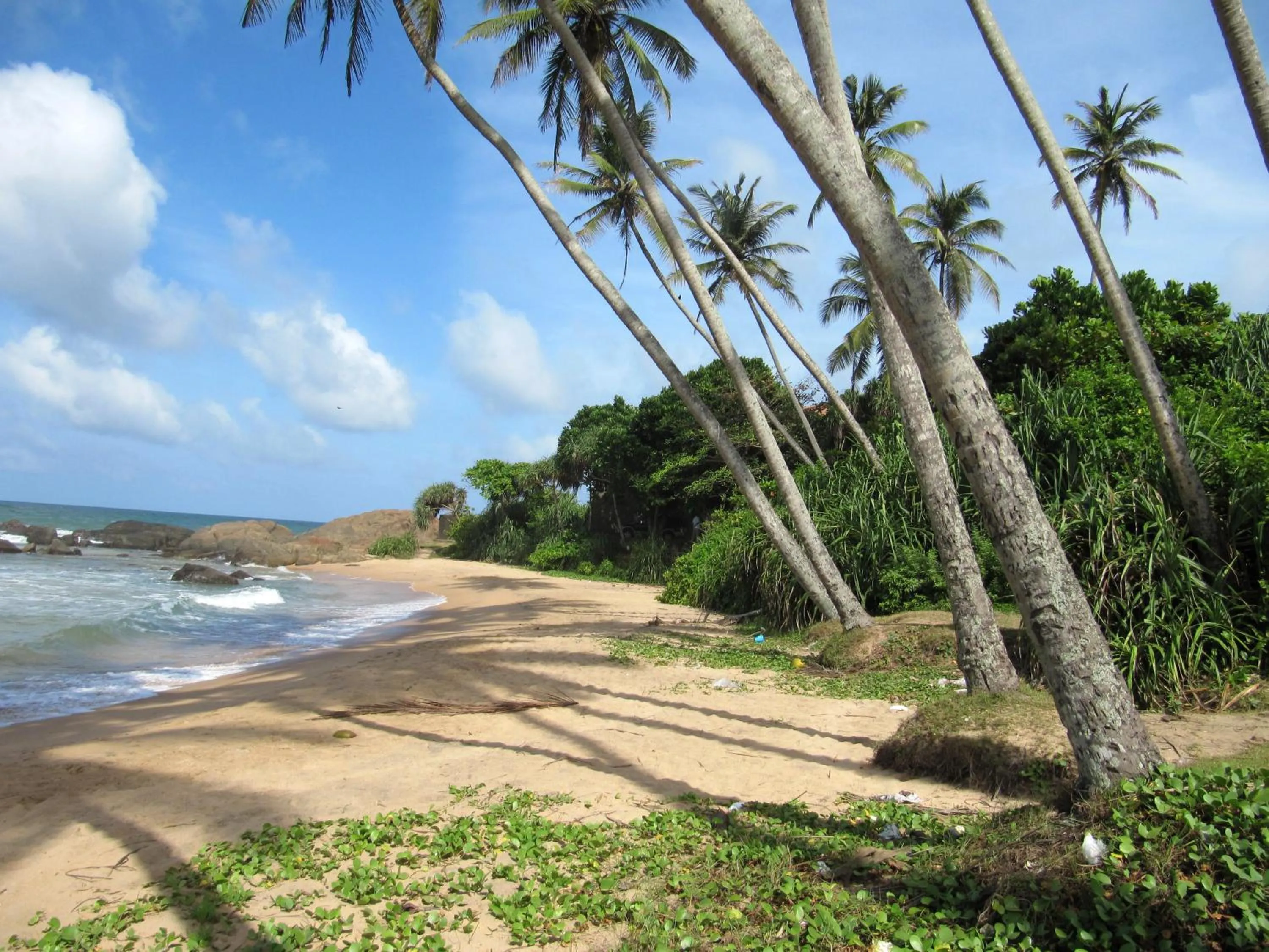 Beach in Boutique Villa Shanthi