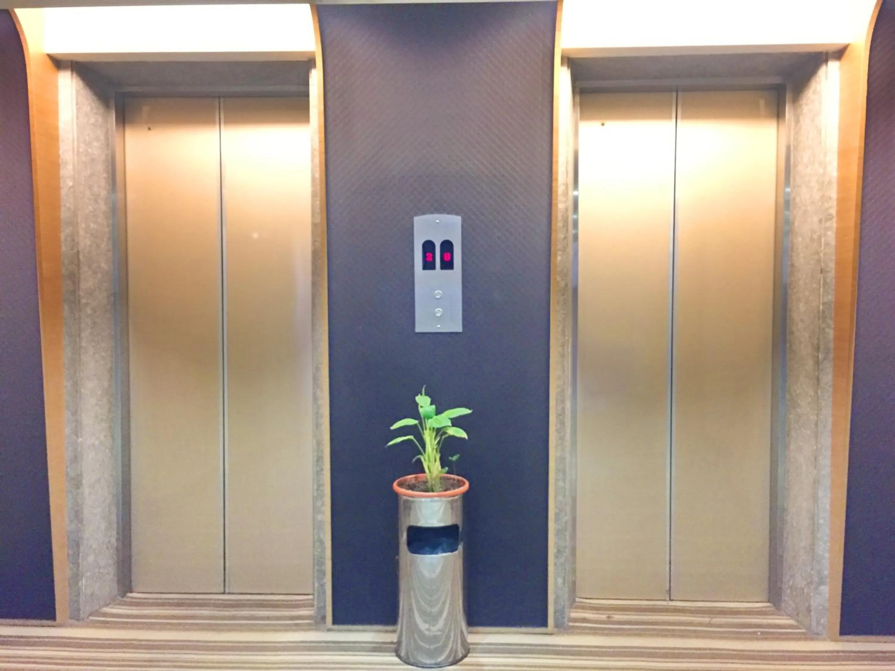 Area and facilities in Country Garden Hotel