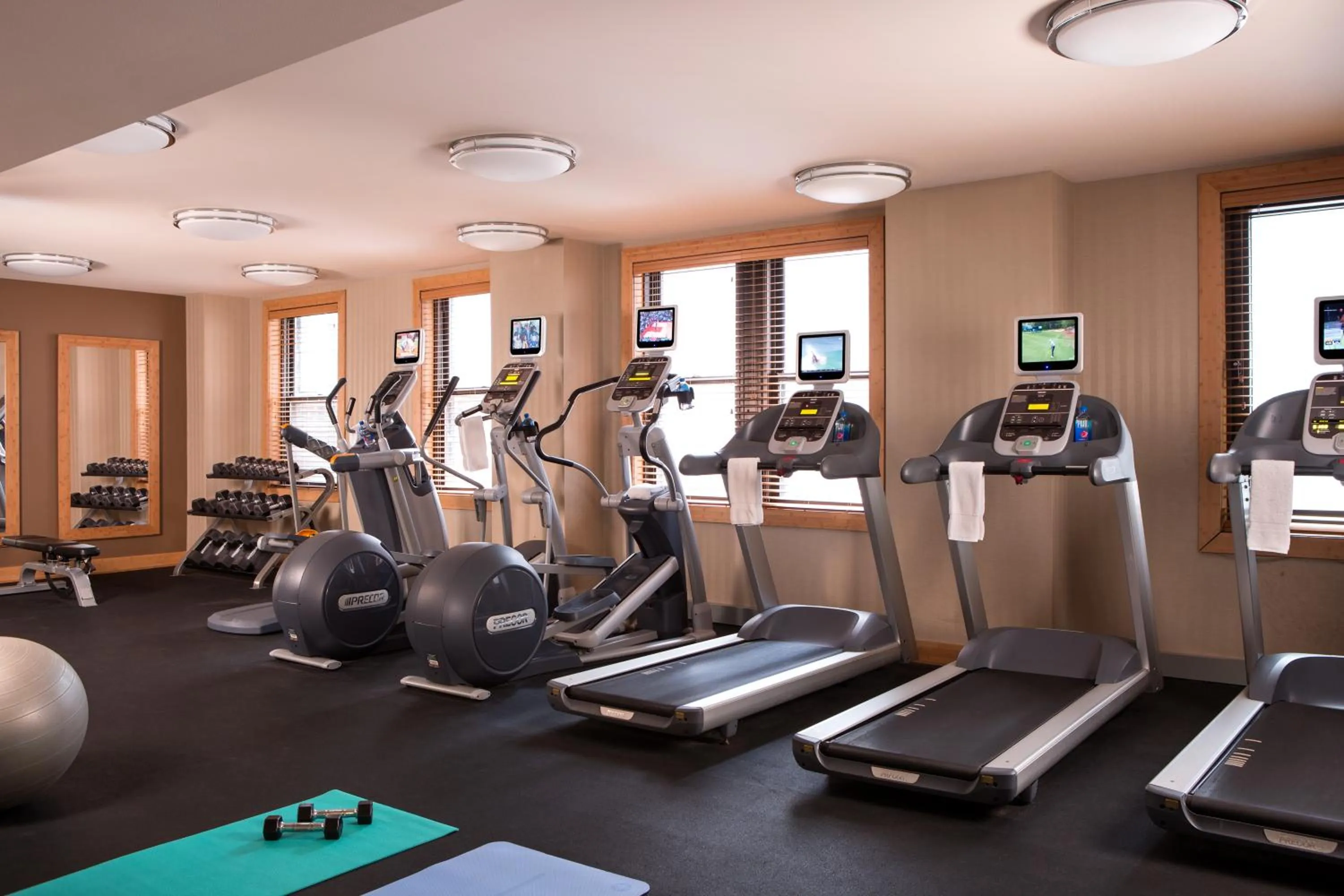 Fitness centre/facilities in Millennium Knickerbocker Chicago