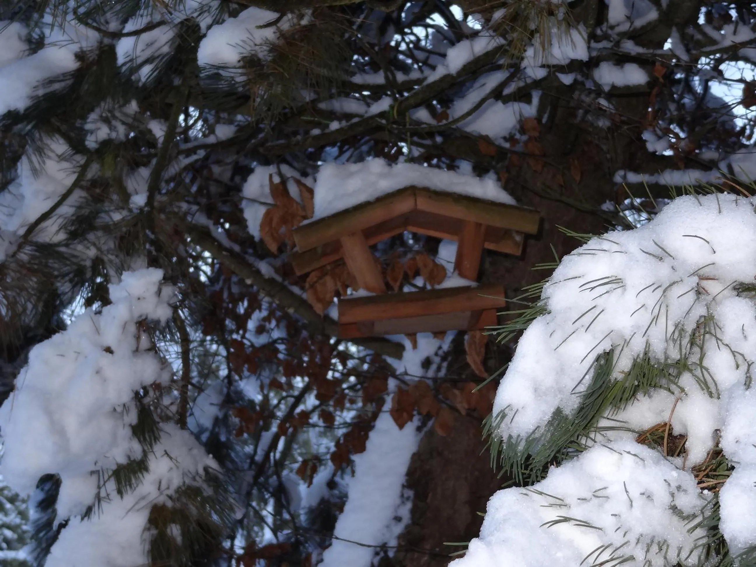 Garden in La Fermette Blanche