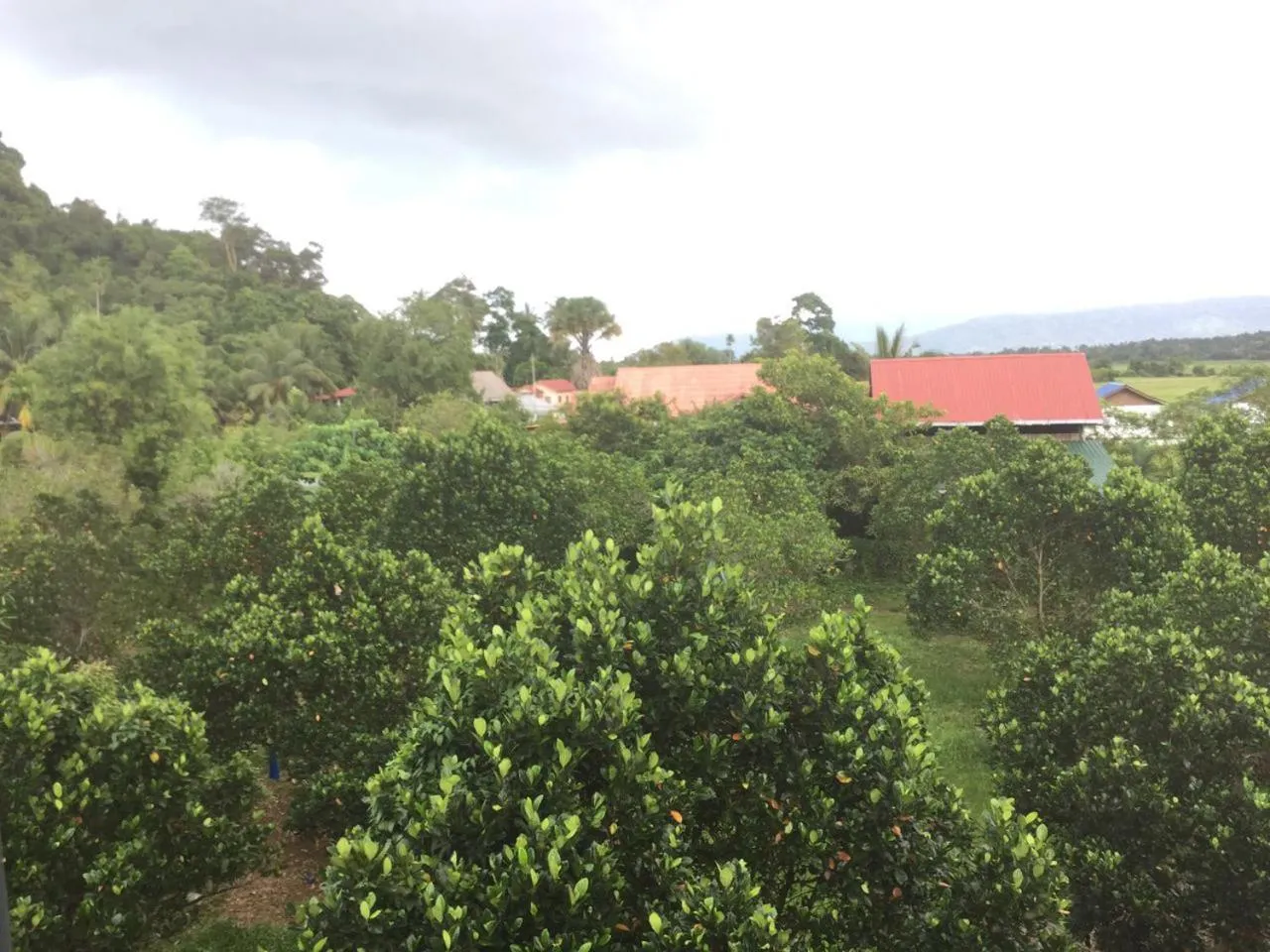 View (from property/room) in Anjung Villa
