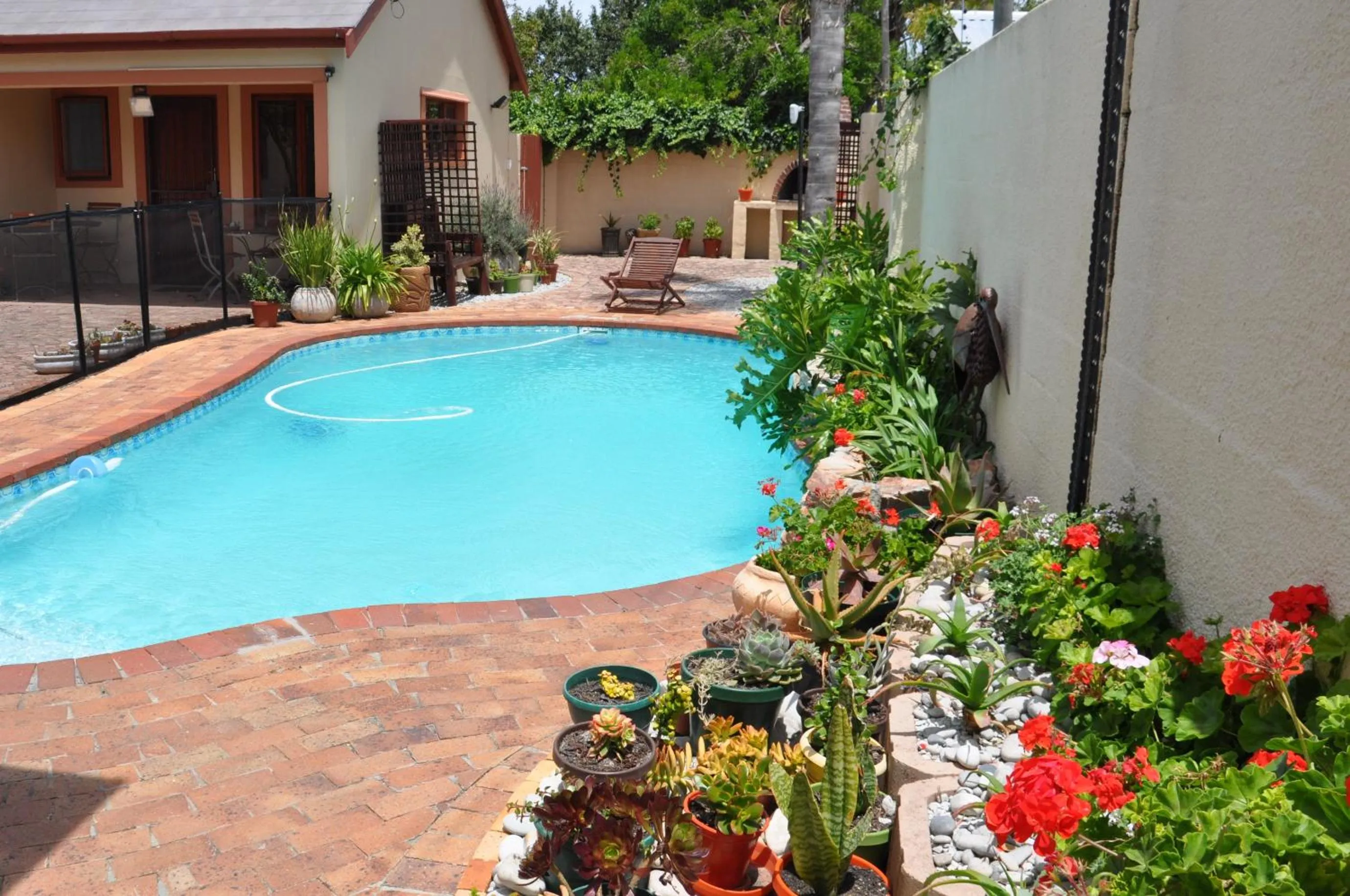 Swimming pool in Hermanus AT HOME
