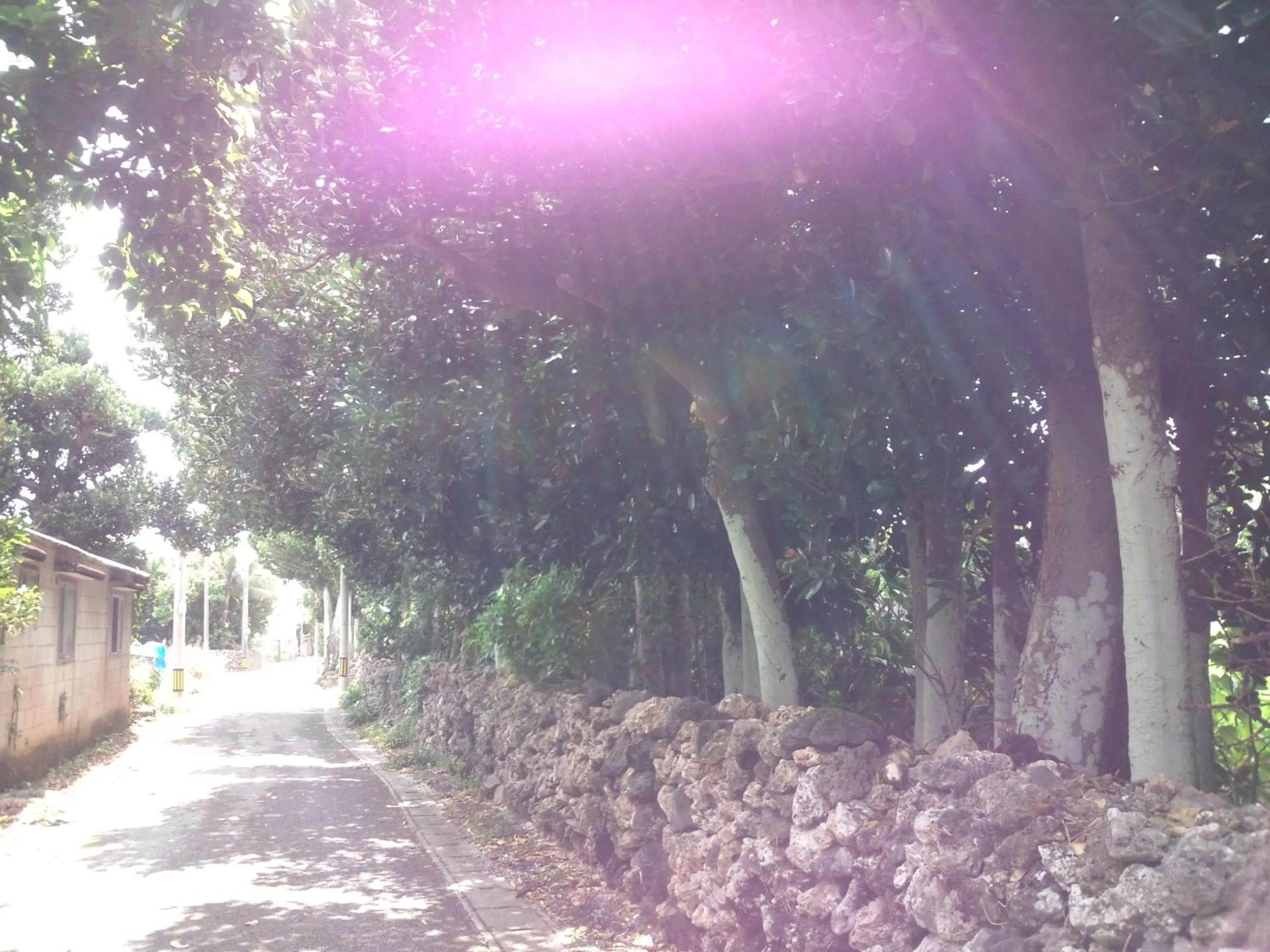 Other in Shirahono Yado Aoi Umi