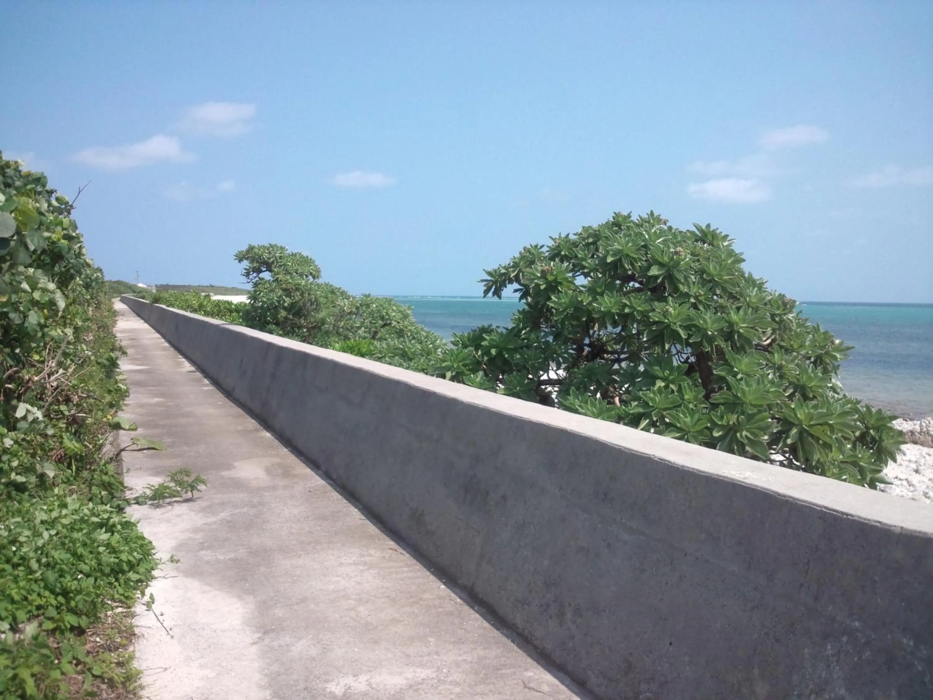 Other in Shirahono Yado Aoi Umi