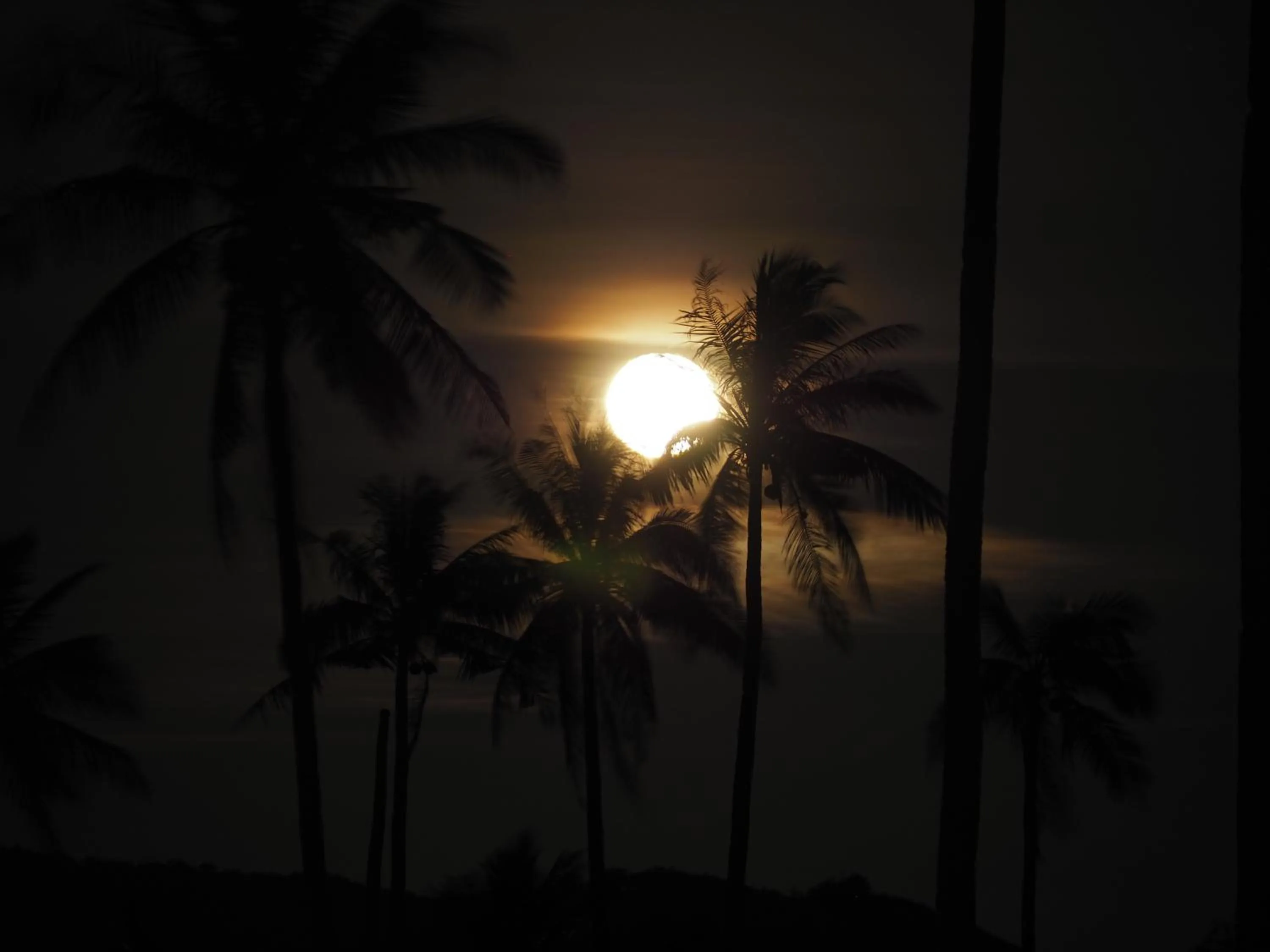 Night in Footprints Beach Resort