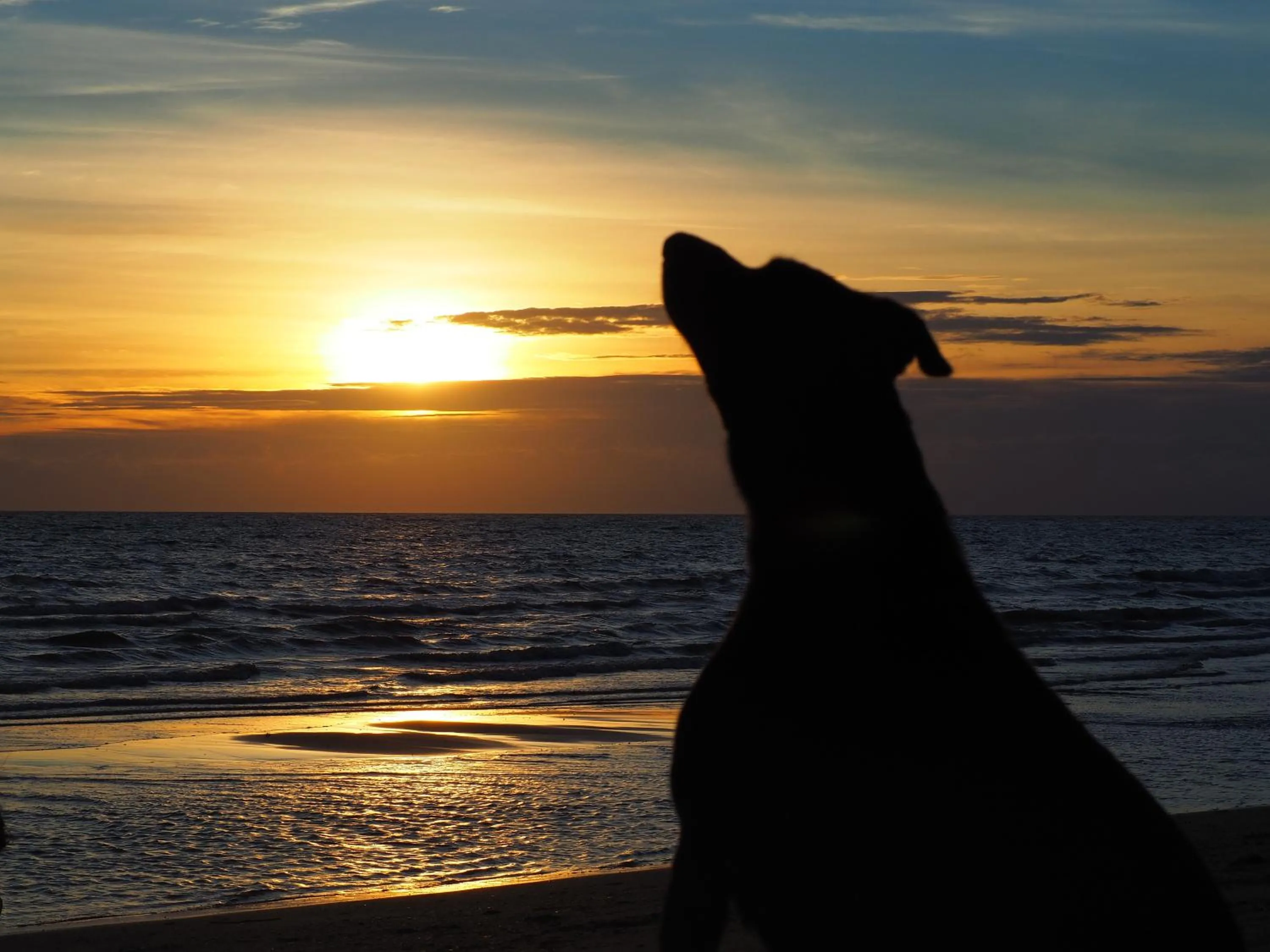 Summer in Footprints Beach Resort