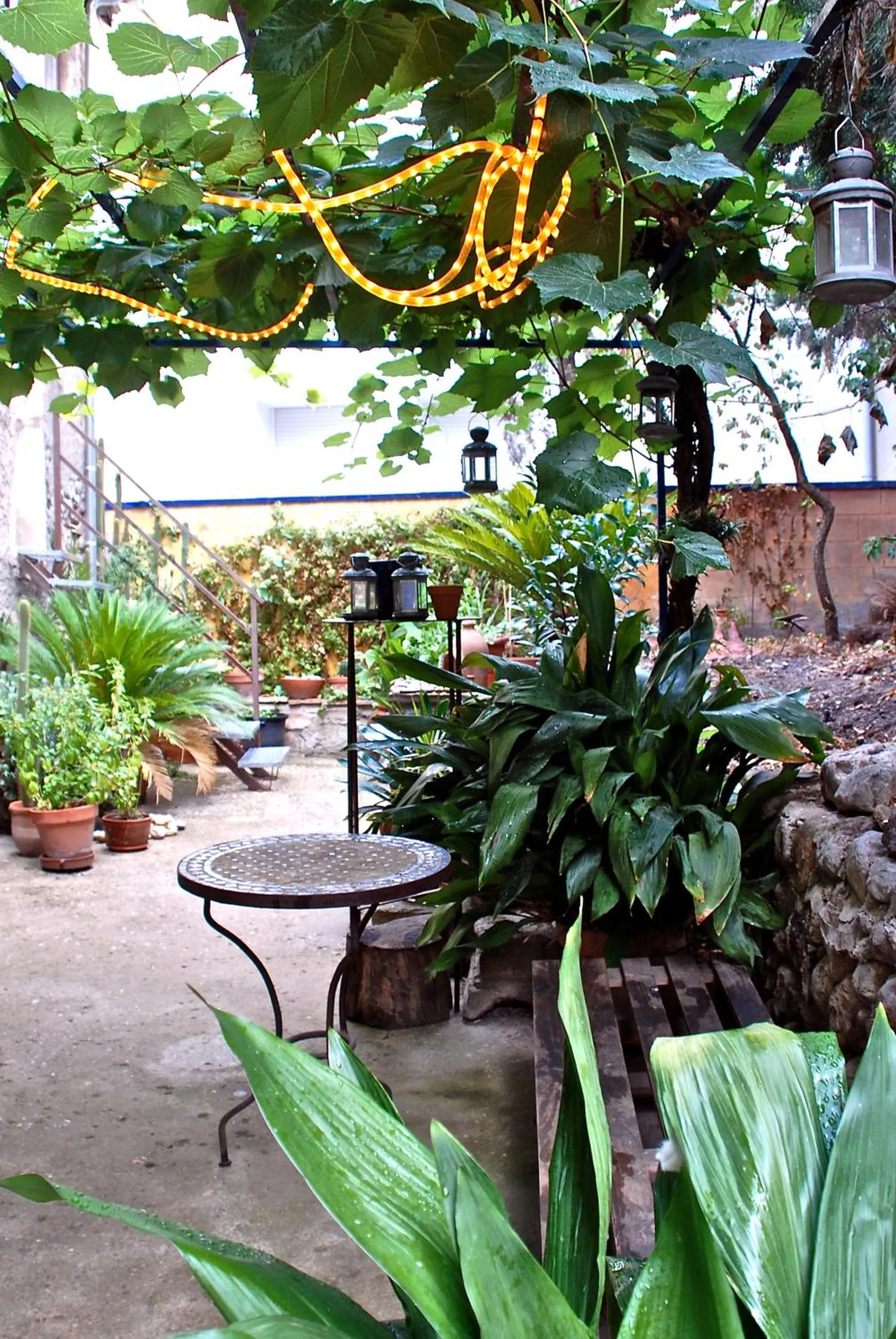 Garden in Hotel rural HD Riudebitlles art i allotjament