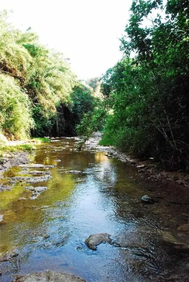 Hotel rural HD Riudebitlles art i allotjament